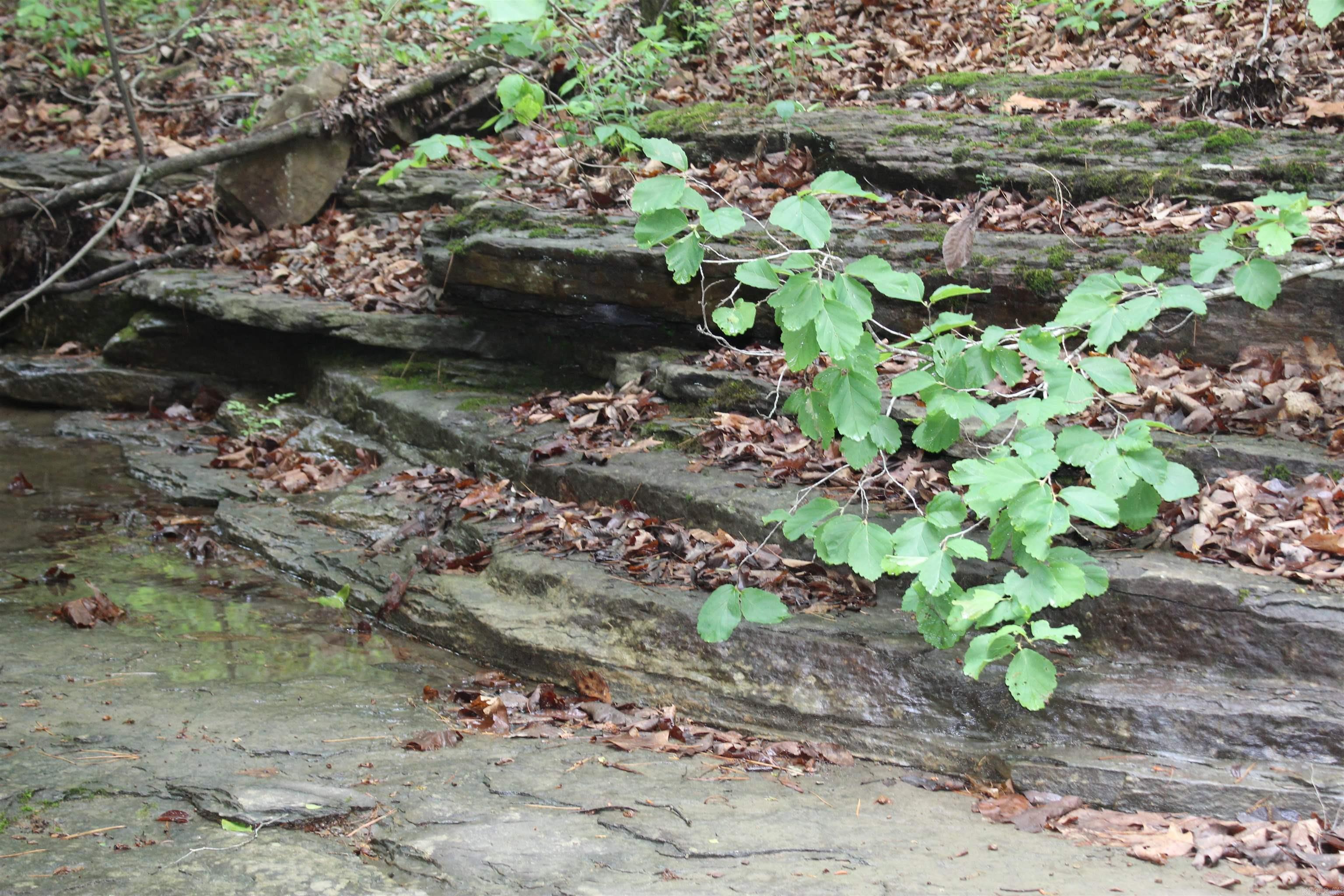 000 East Mountain Road Property Photo 6