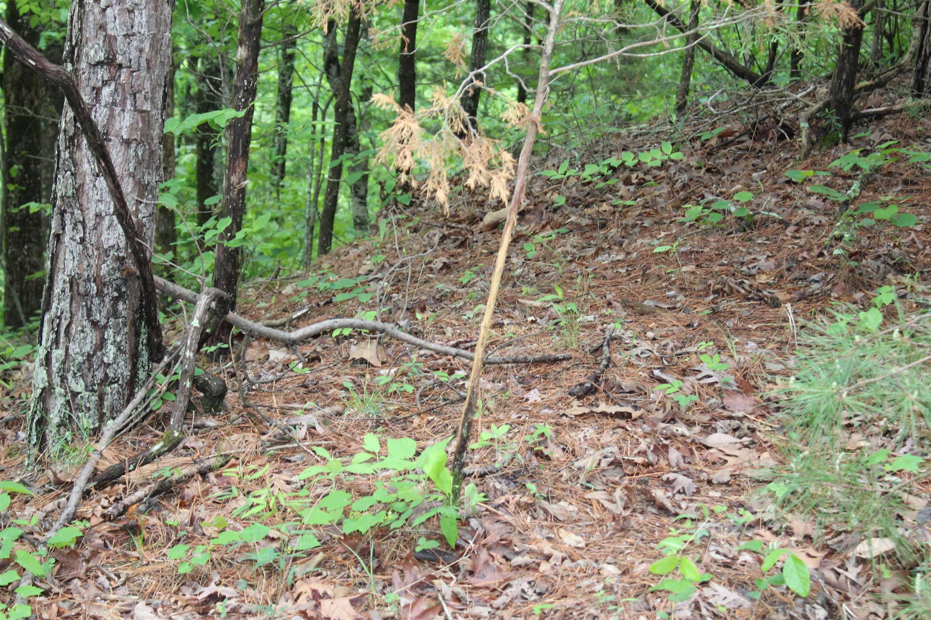 000 East Mountain Road Property Photo 10