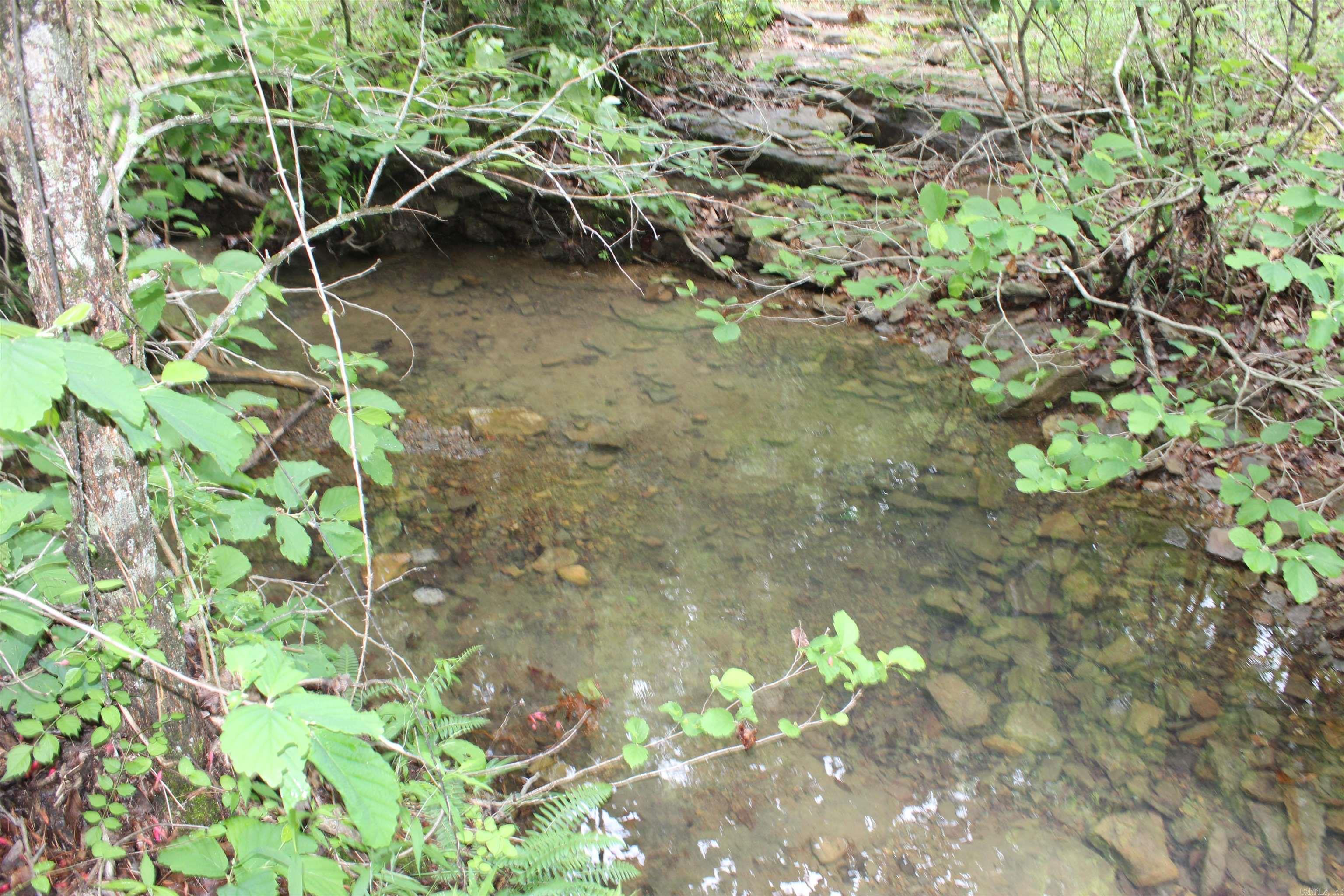 000 East Mountain Road Property Photo 11
