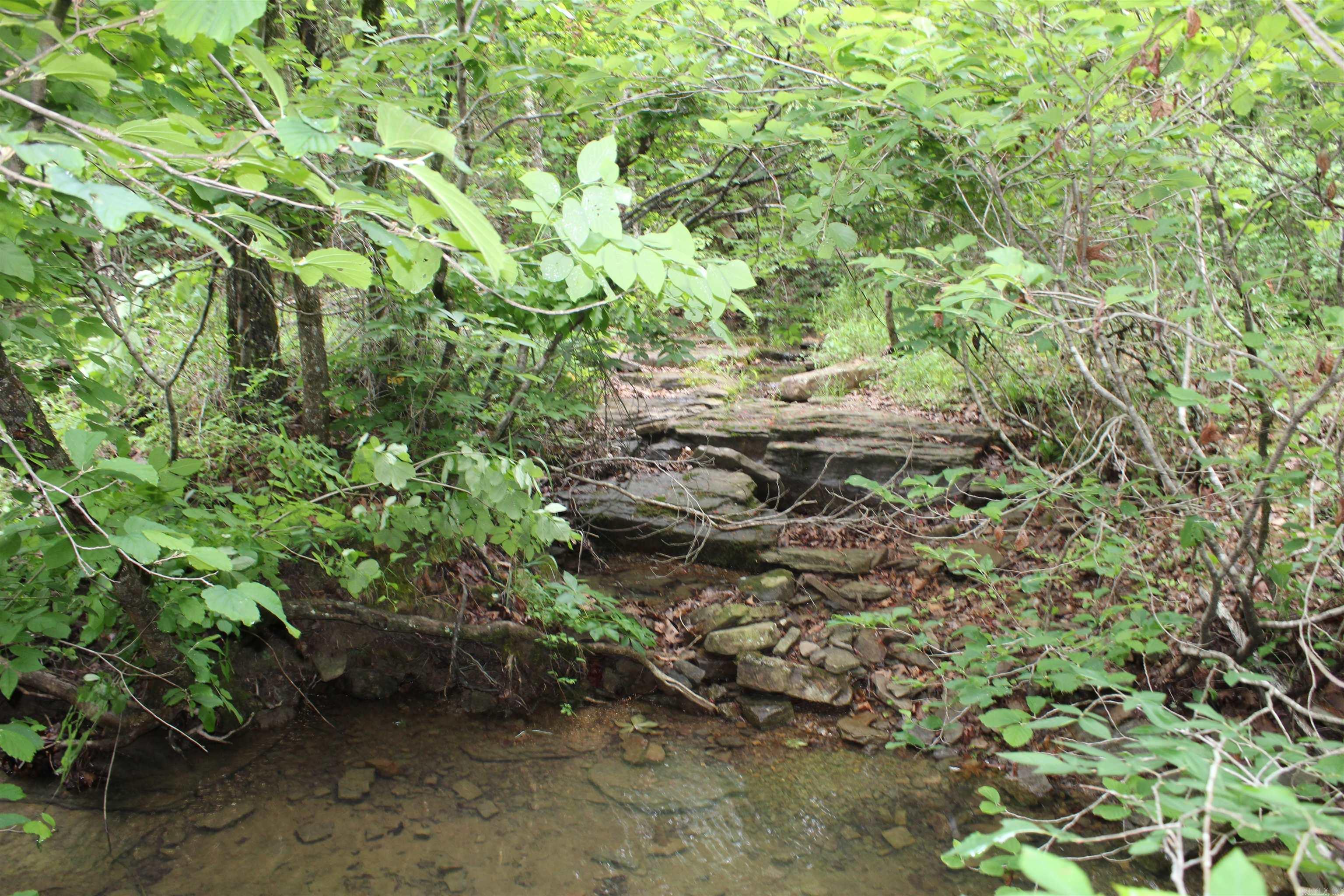 000 East Mountain Road Property Photo 12