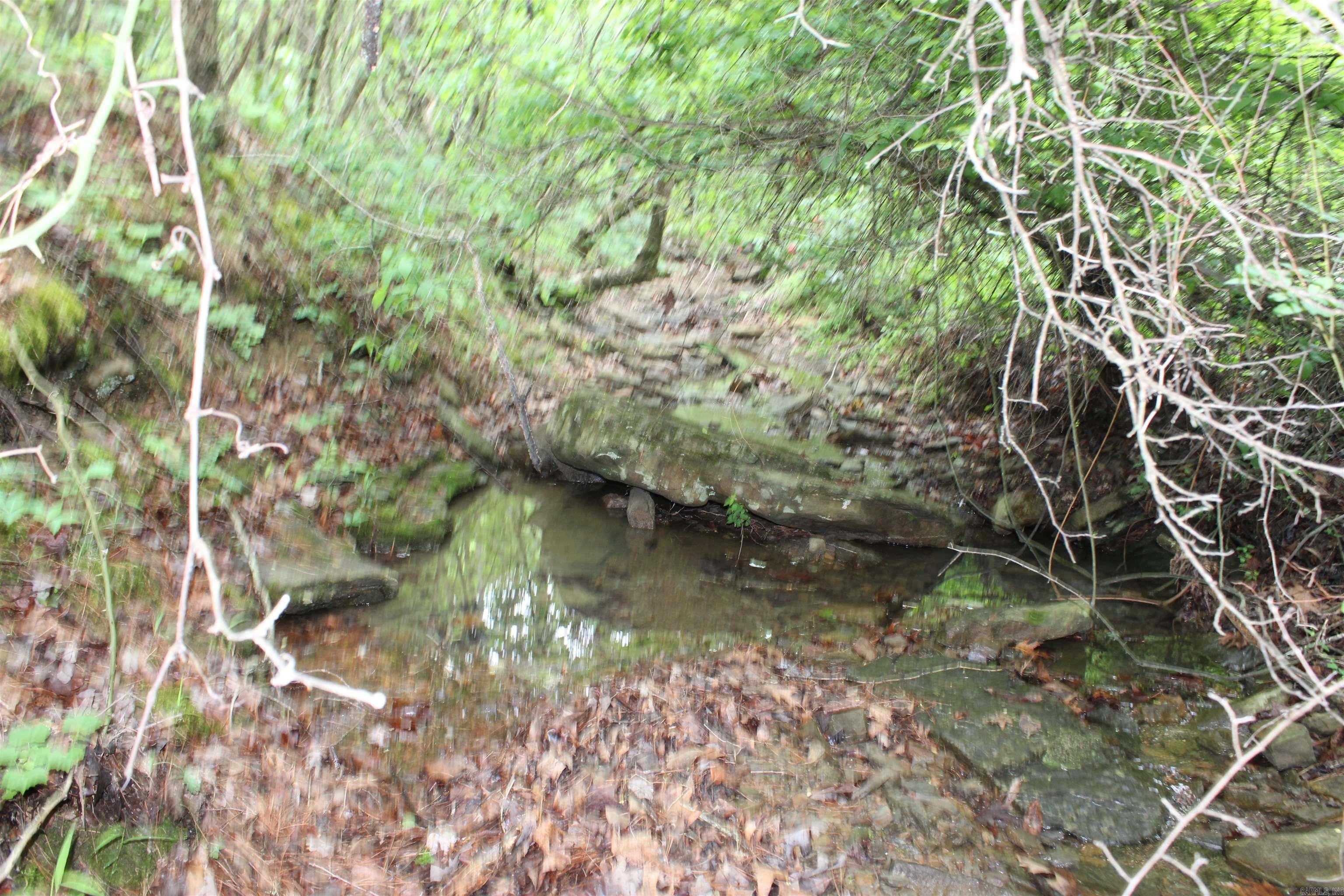 000 East Mountain Road Property Photo 13