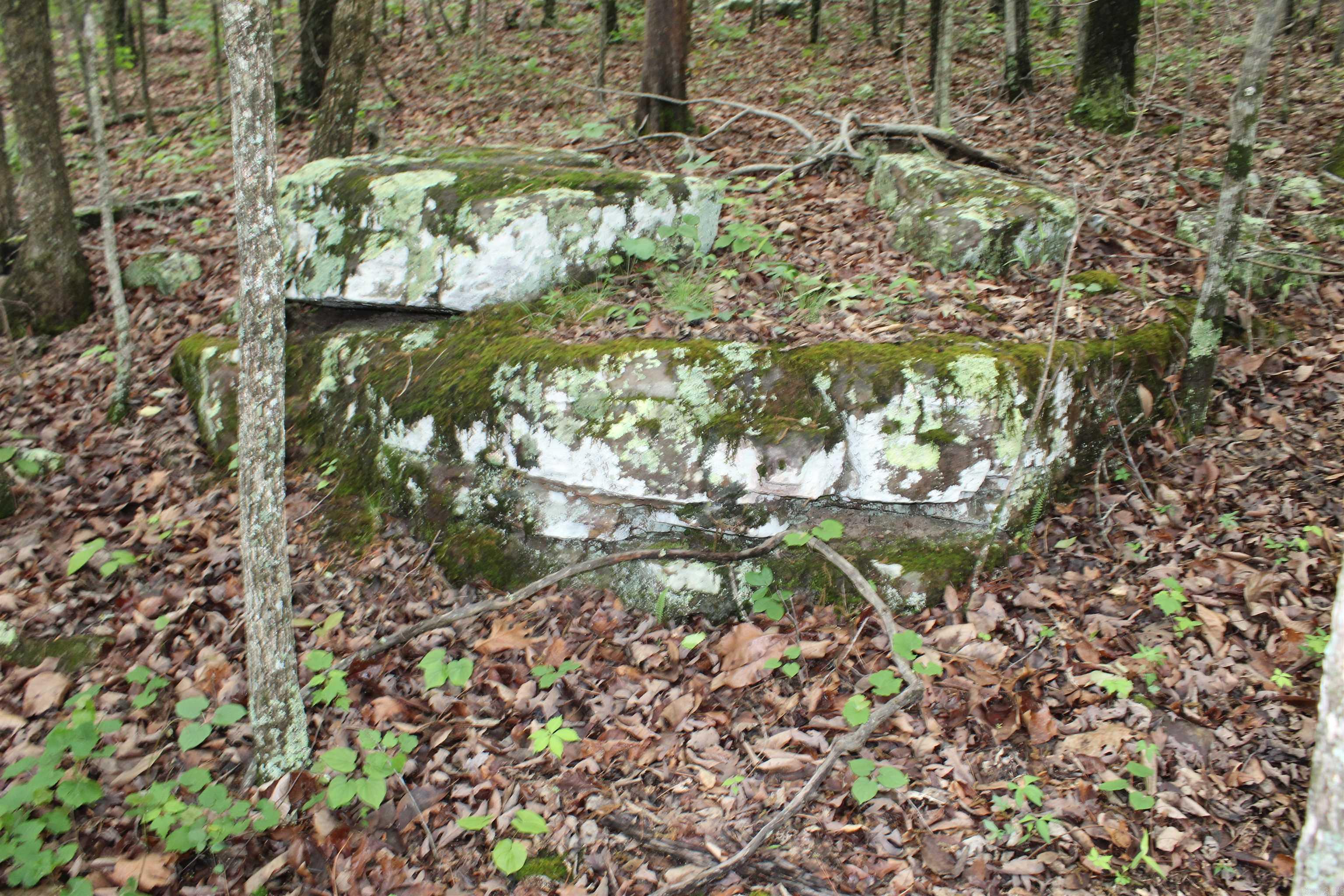000 East Mountain Road Property Photo 14