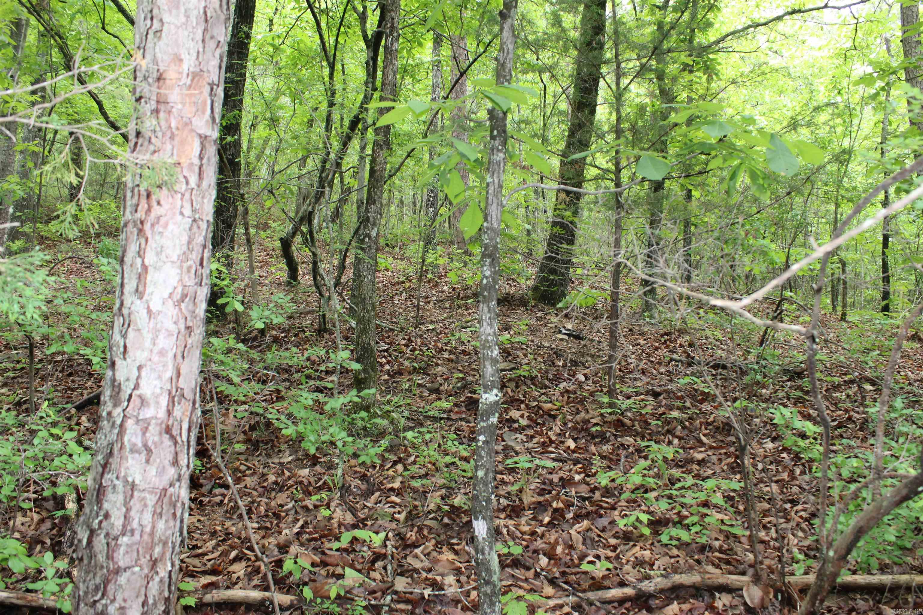 000 East Mountain Road Property Photo 15