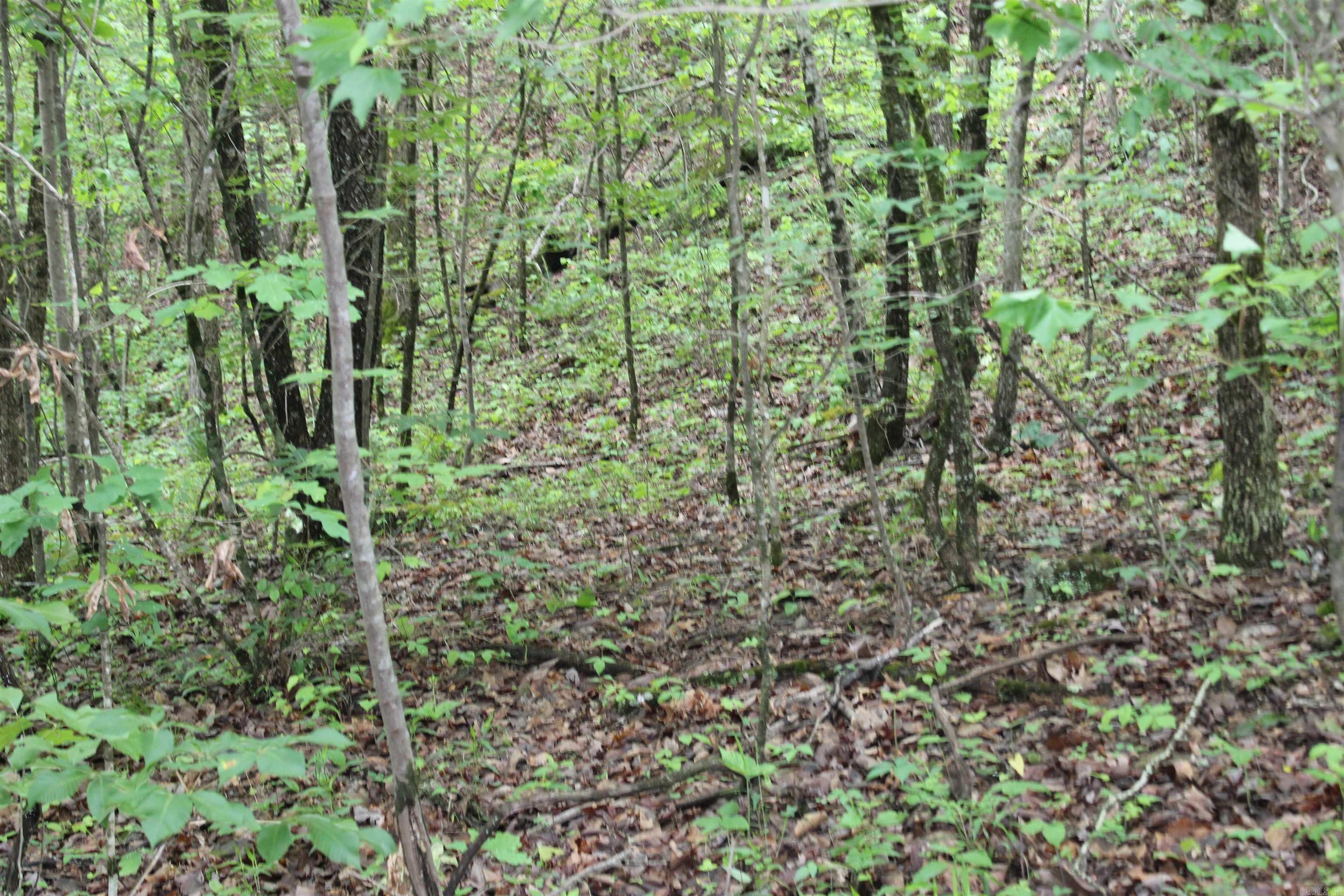 000 East Mountain Road Property Photo 16