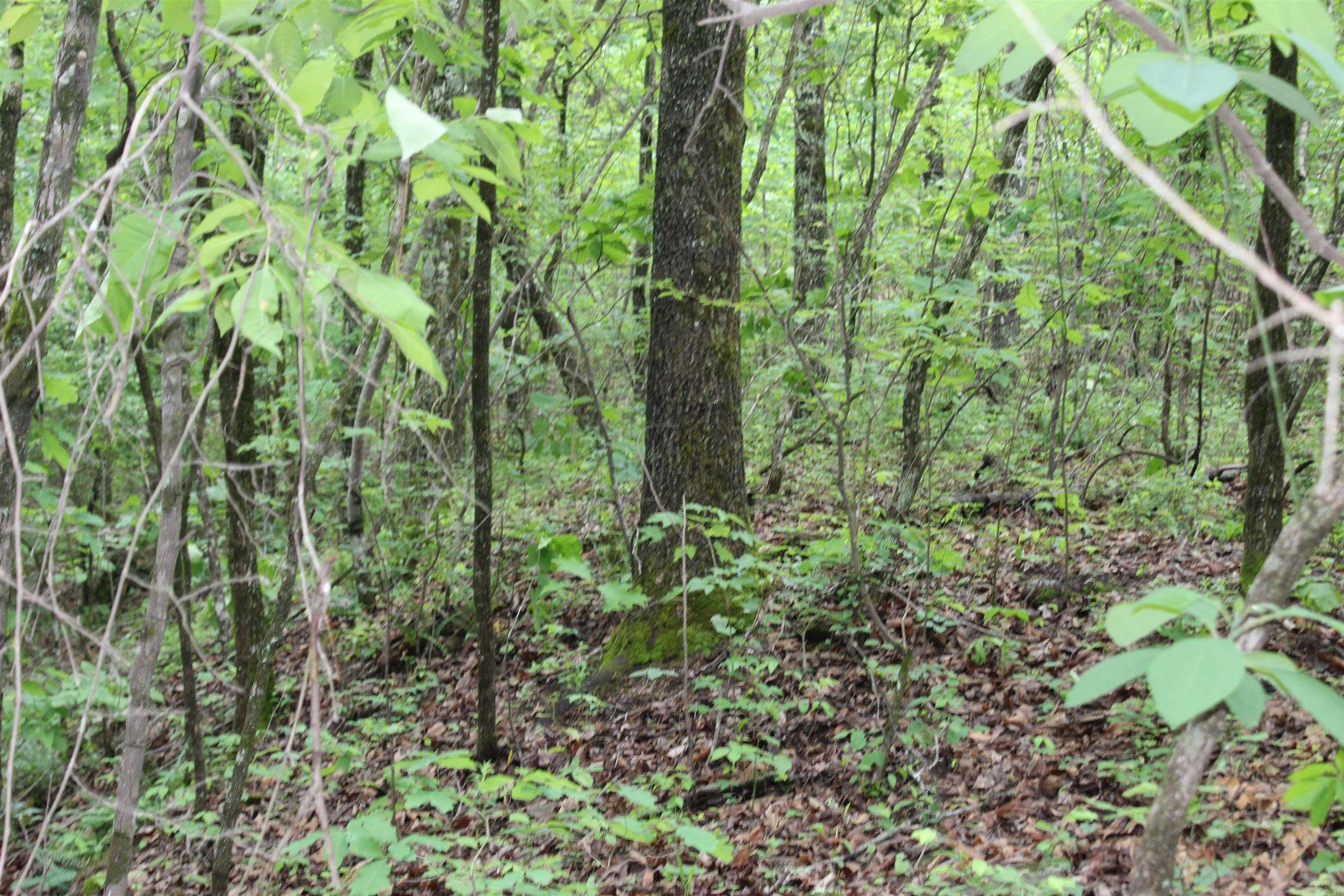 000 East Mountain Road Property Photo 17