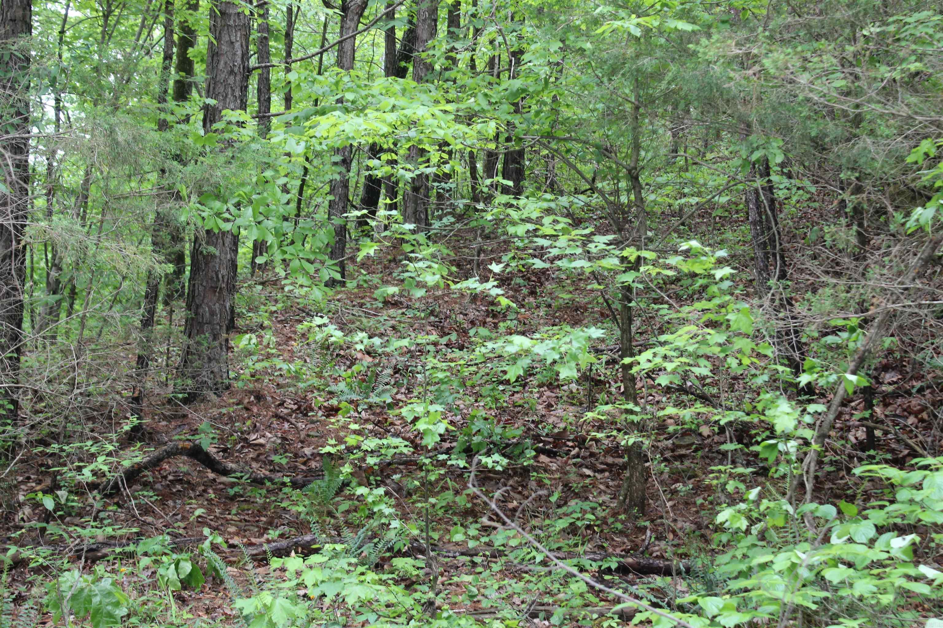 000 East Mountain Road Property Photo 19