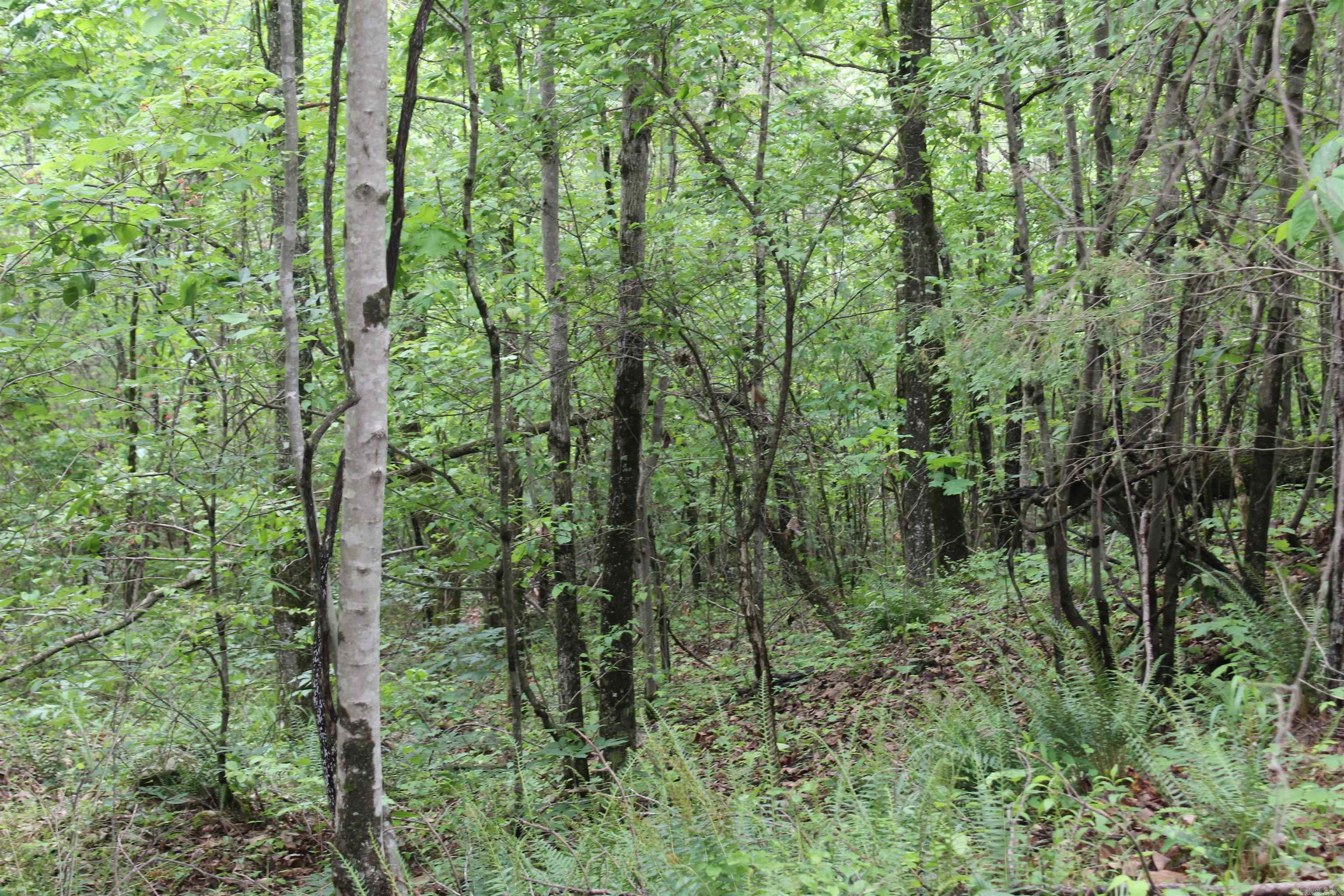 000 East Mountain Road Property Photo 20