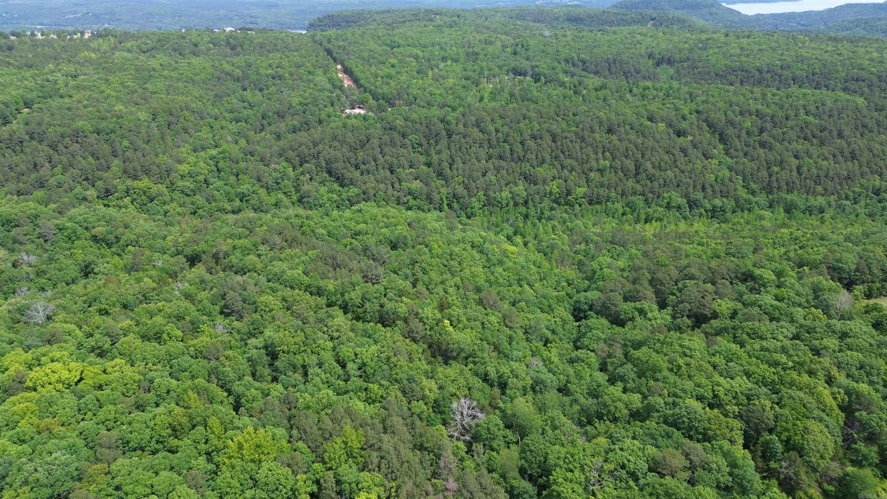 000 East Mountain Road Property Photo 25