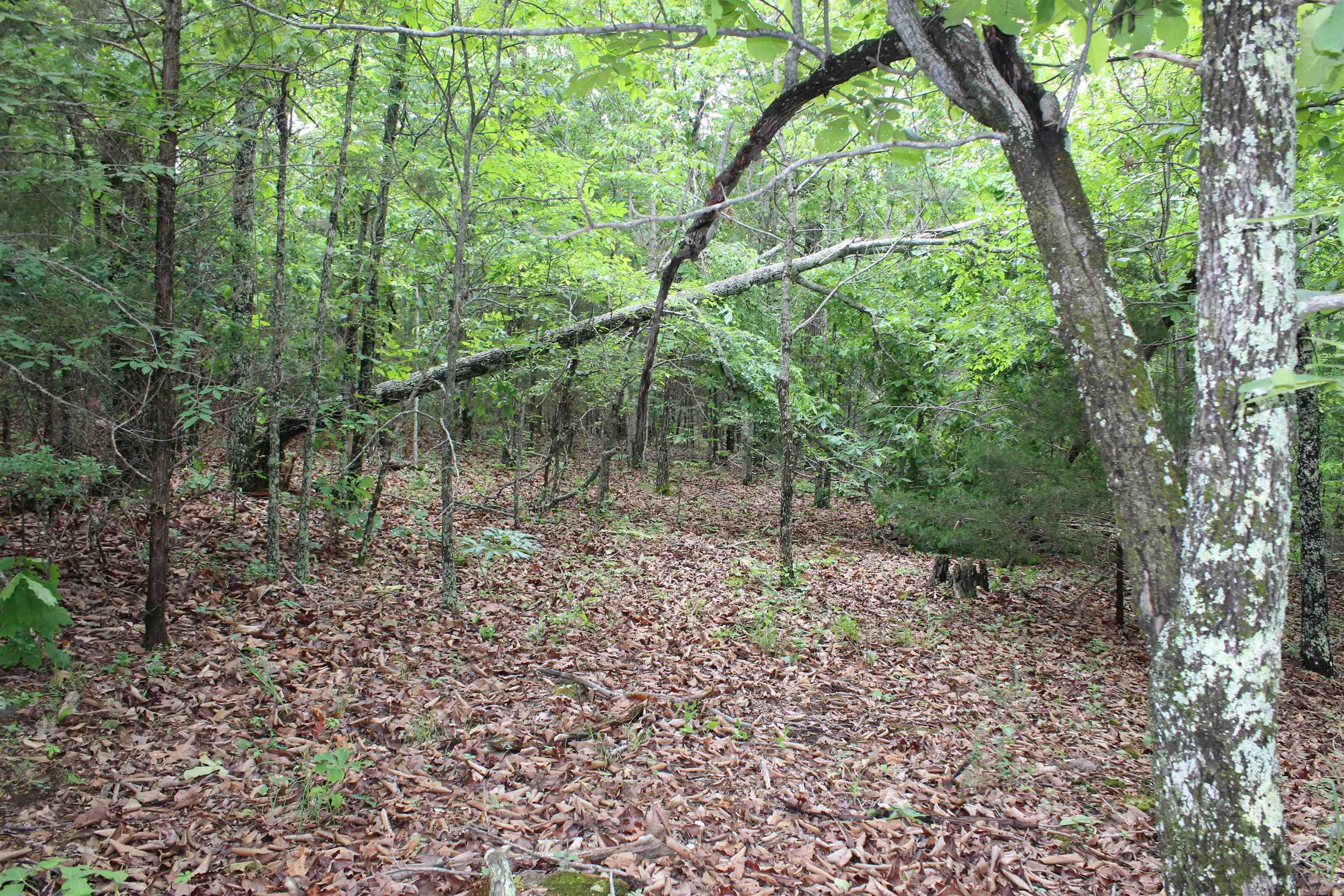 000 East Mountain Road Property Photo 28