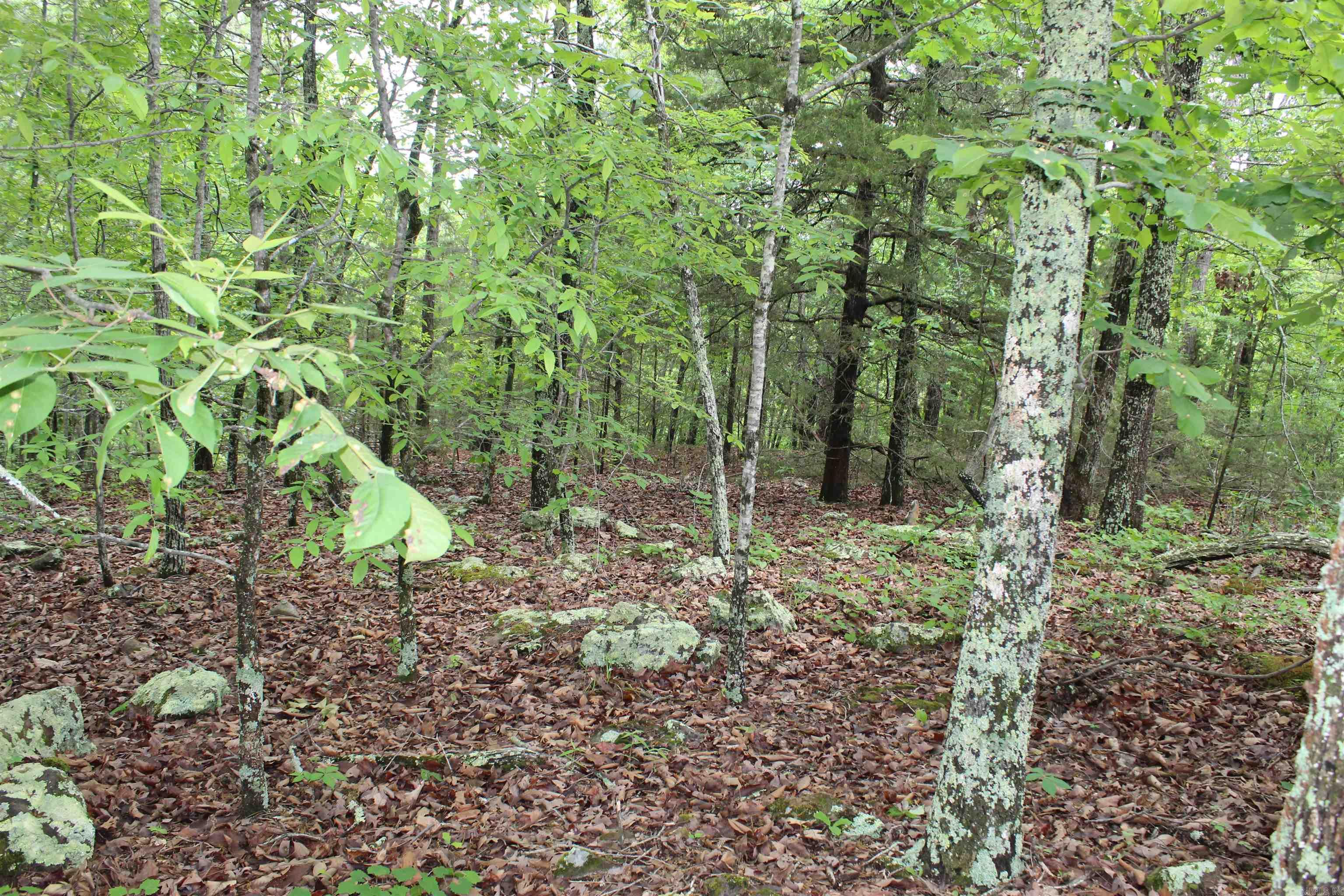 000 East Mountain Road Property Photo 29