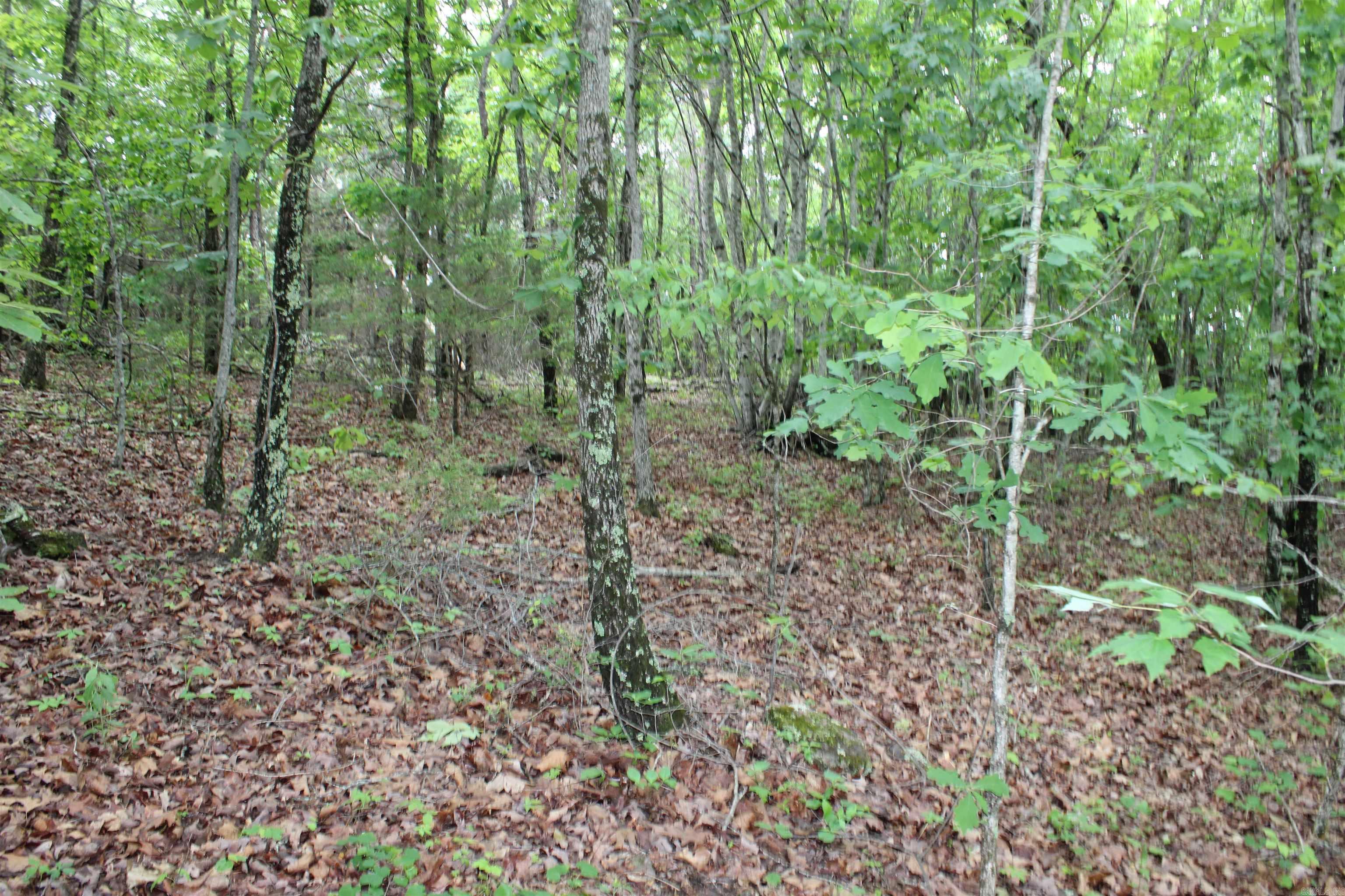 000 East Mountain Road Property Photo 30