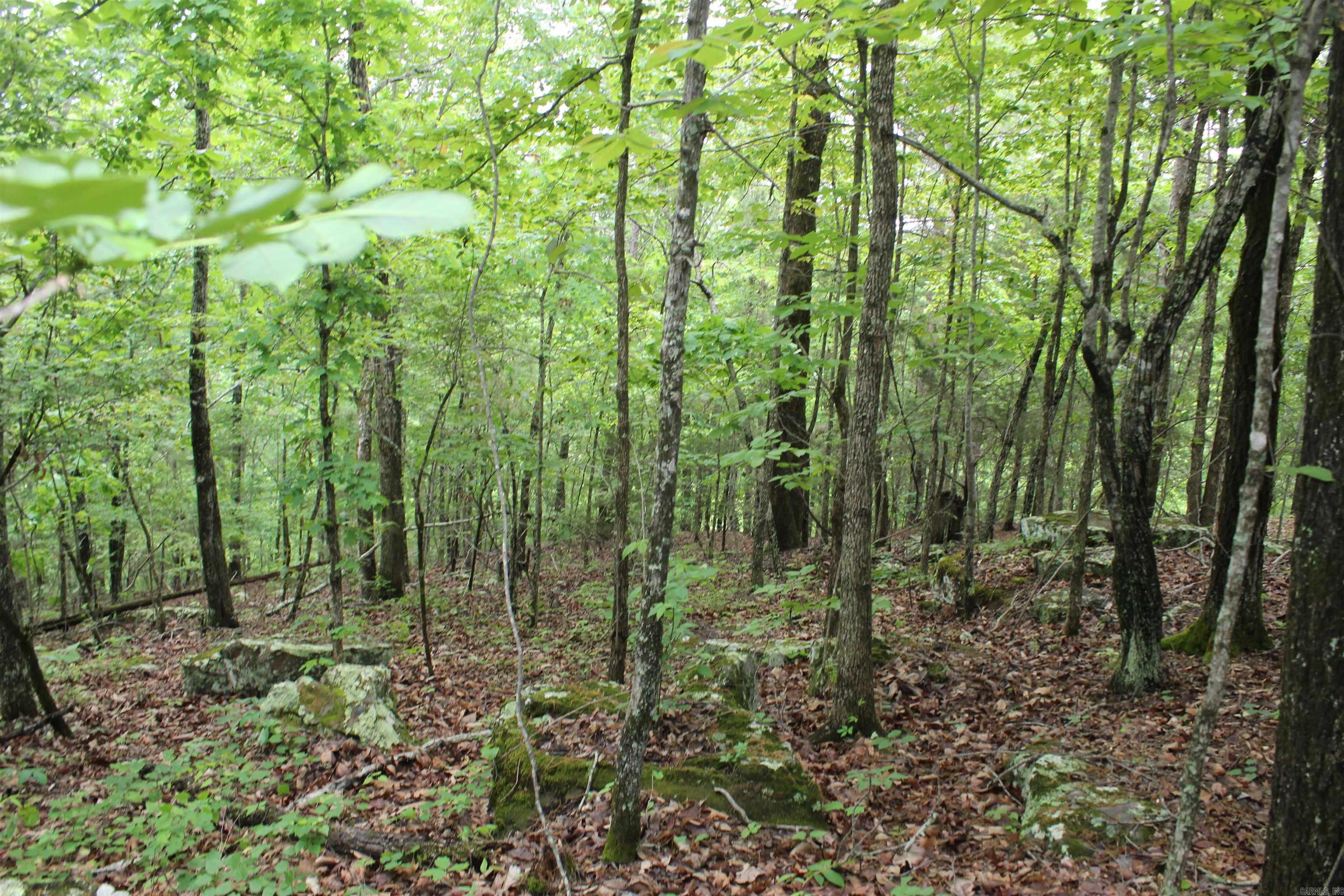 000 East Mountain Road Property Photo 31