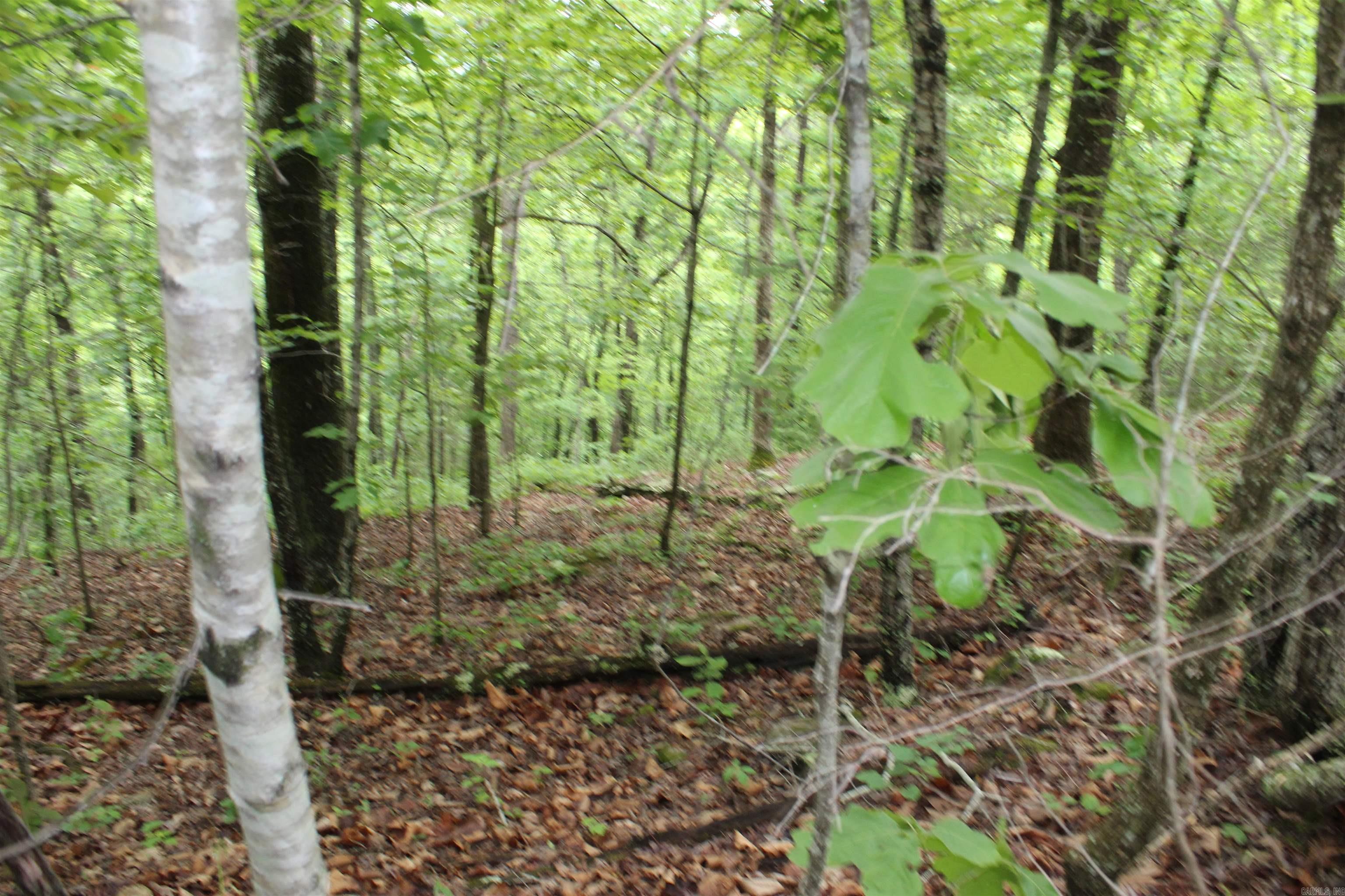 000 East Mountain Road Property Photo 32