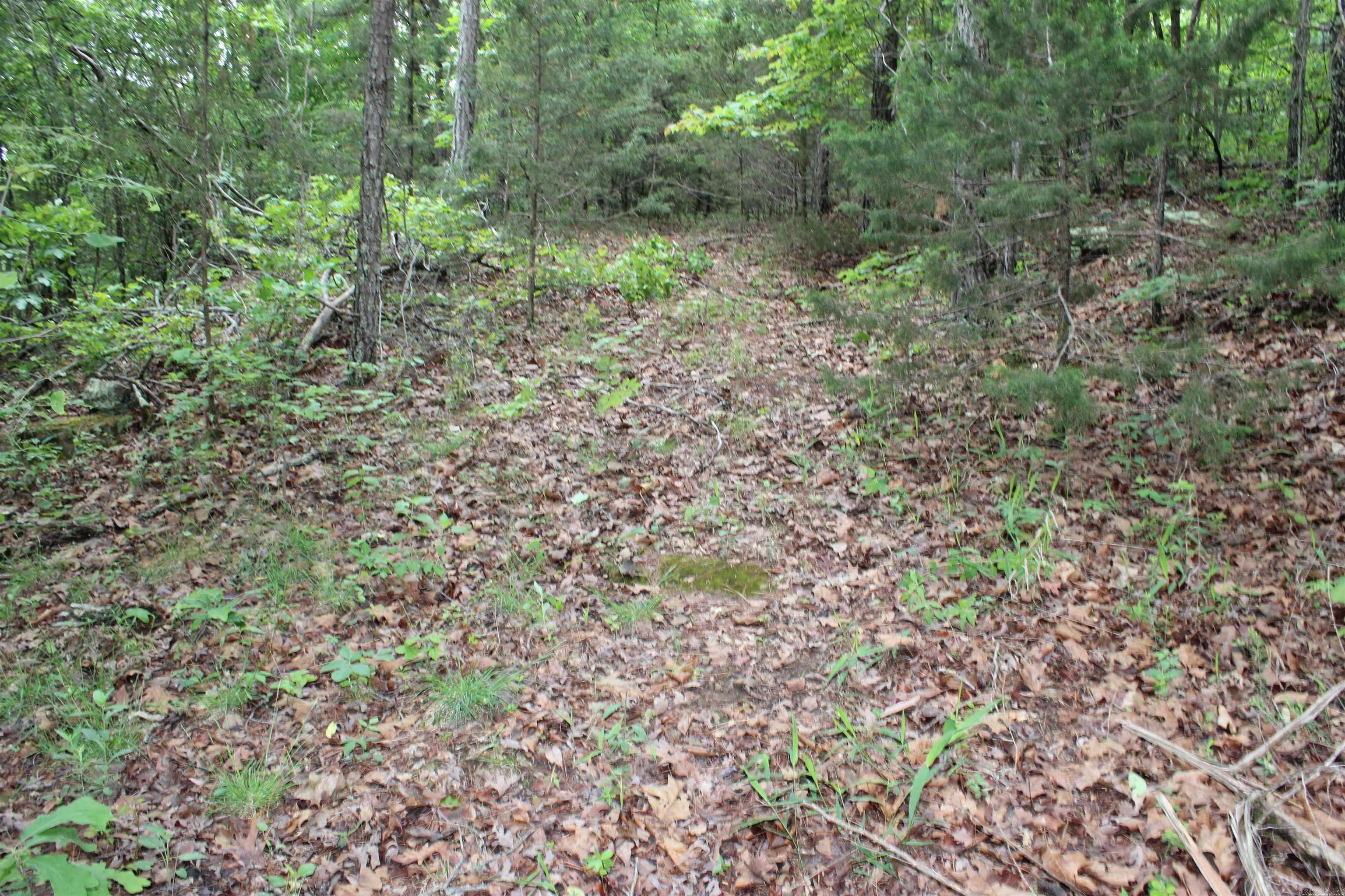 000 East Mountain Road Property Photo 33