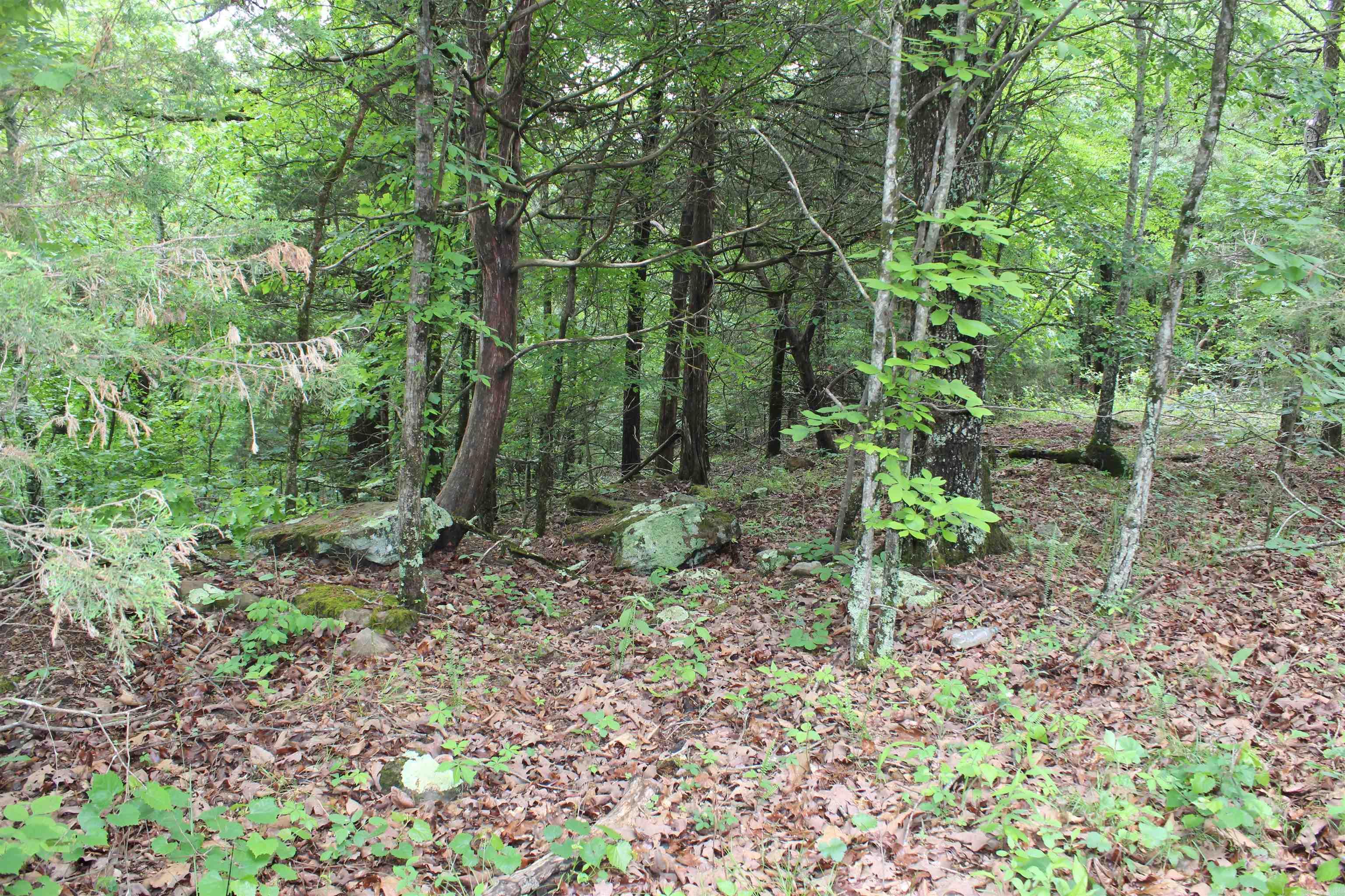 000 East Mountain Road Property Photo 34