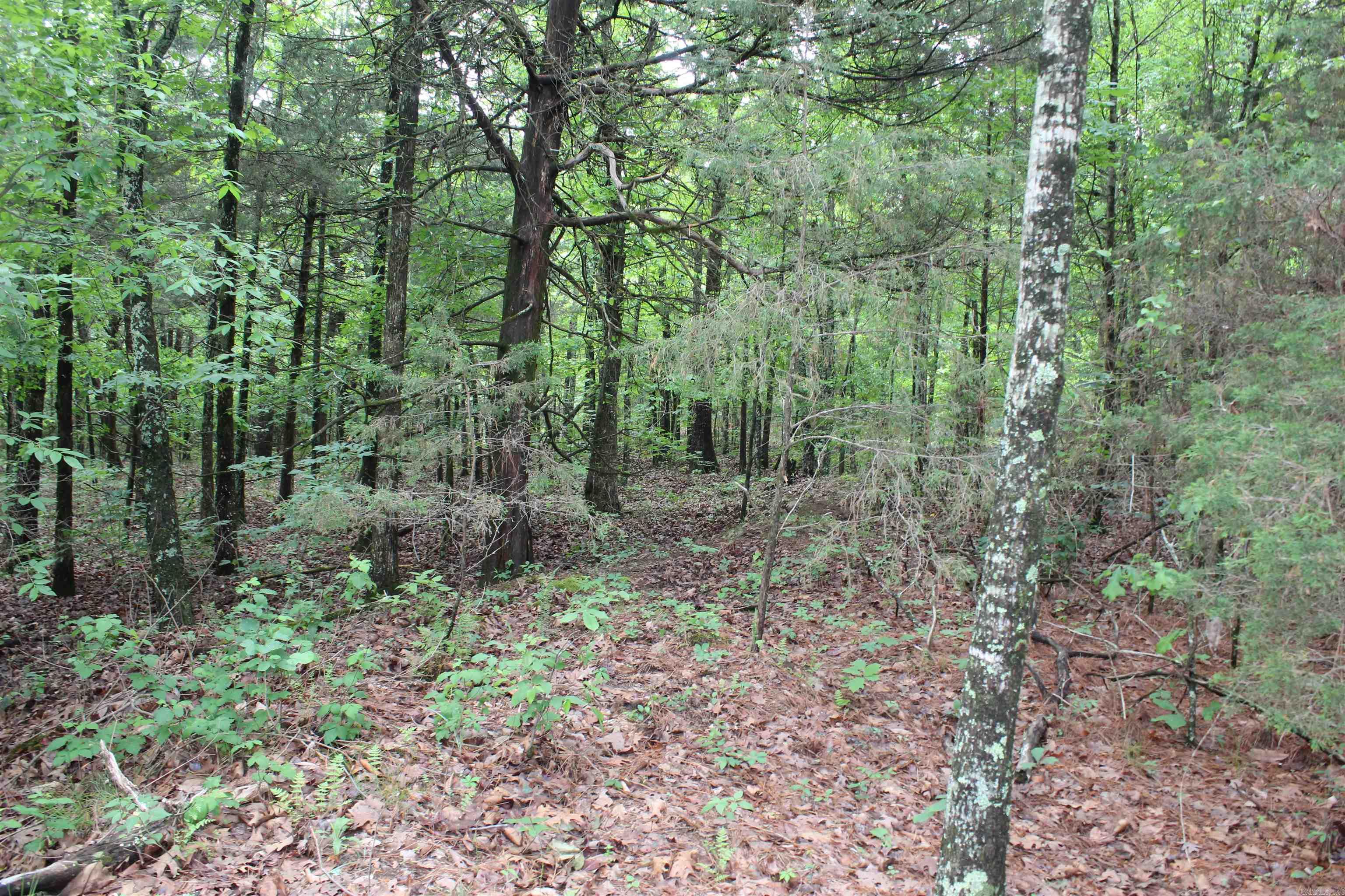 000 East Mountain Road Property Photo 35