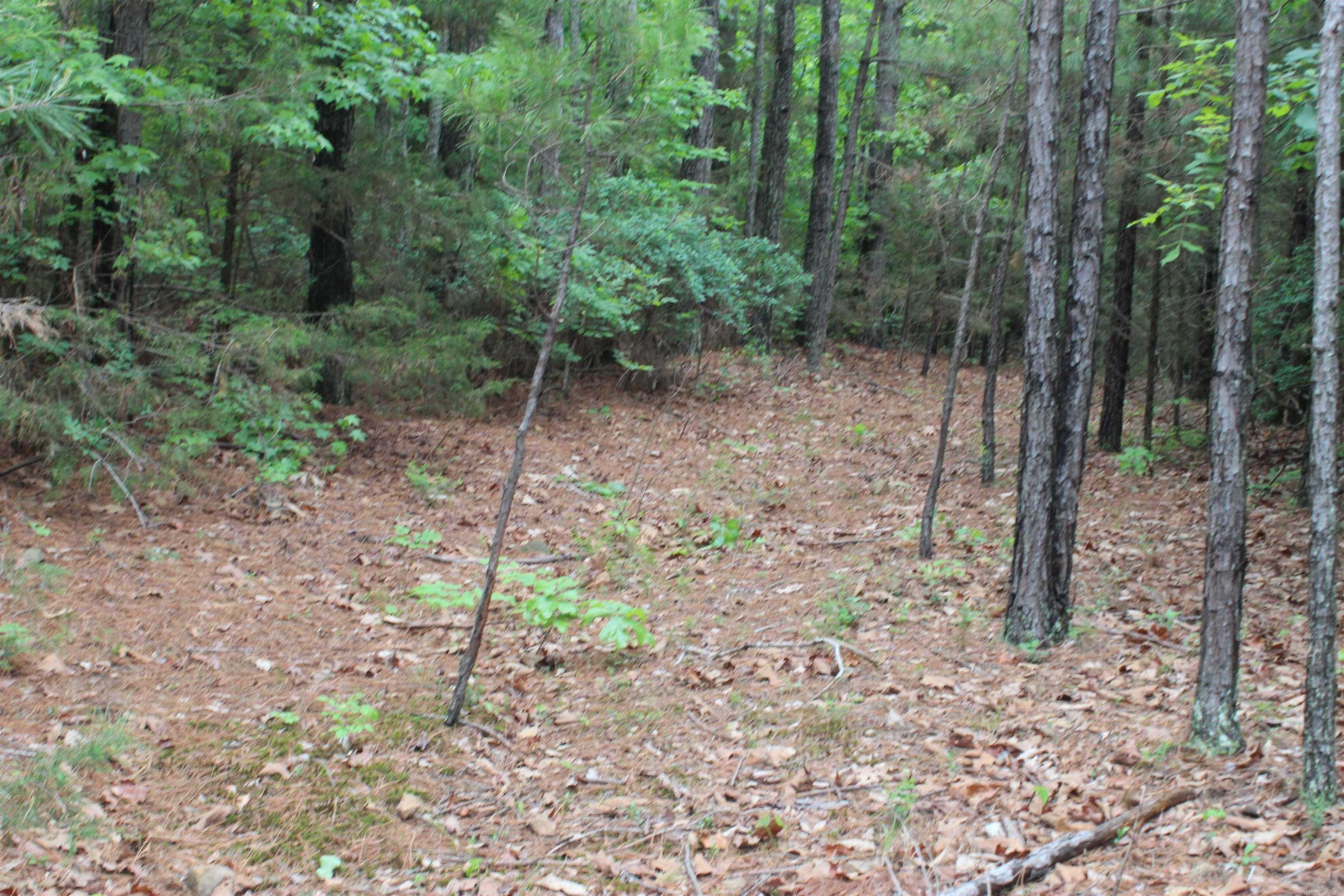 000 East Mountain Road Property Photo 36