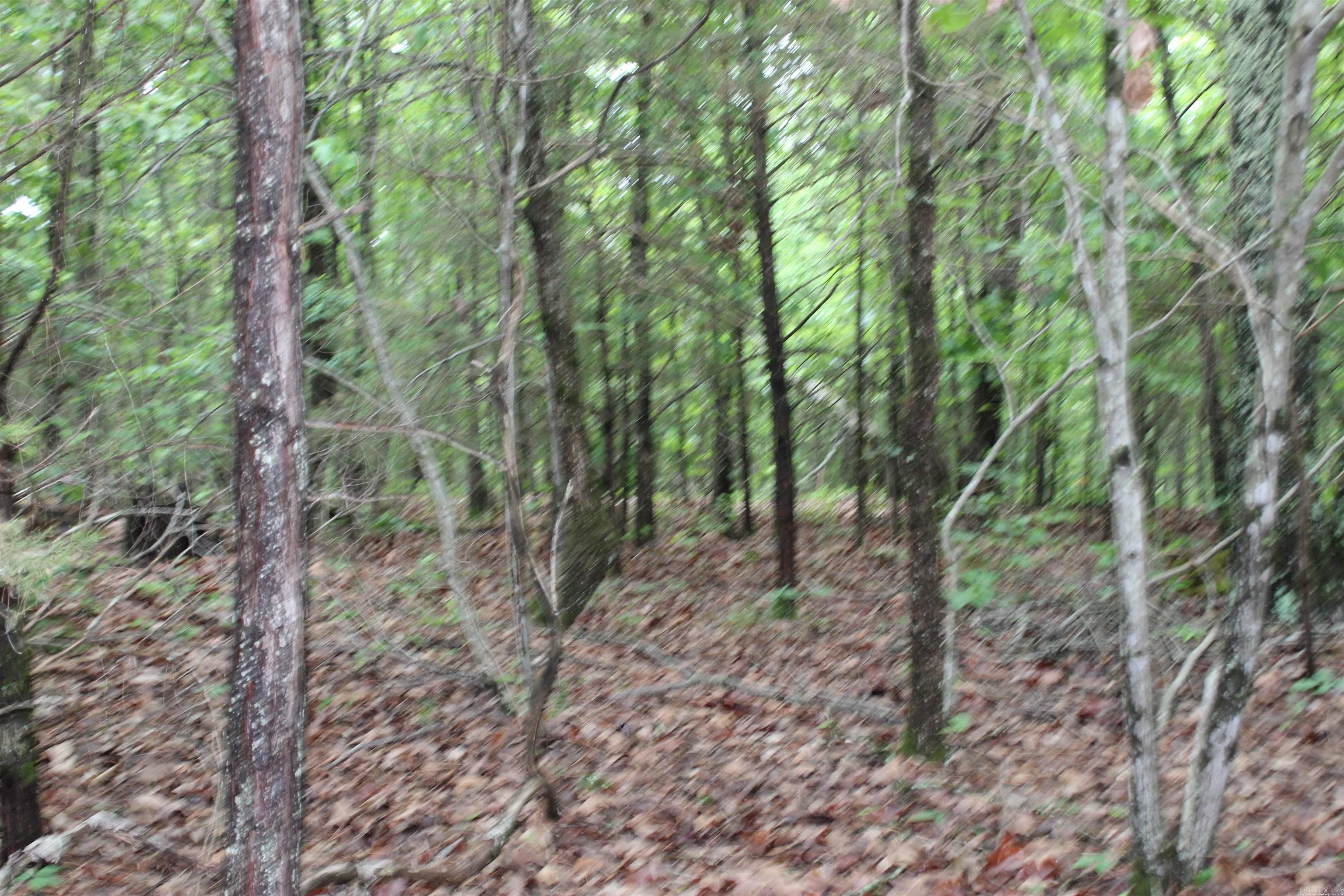 000 East Mountain Road Property Photo 37