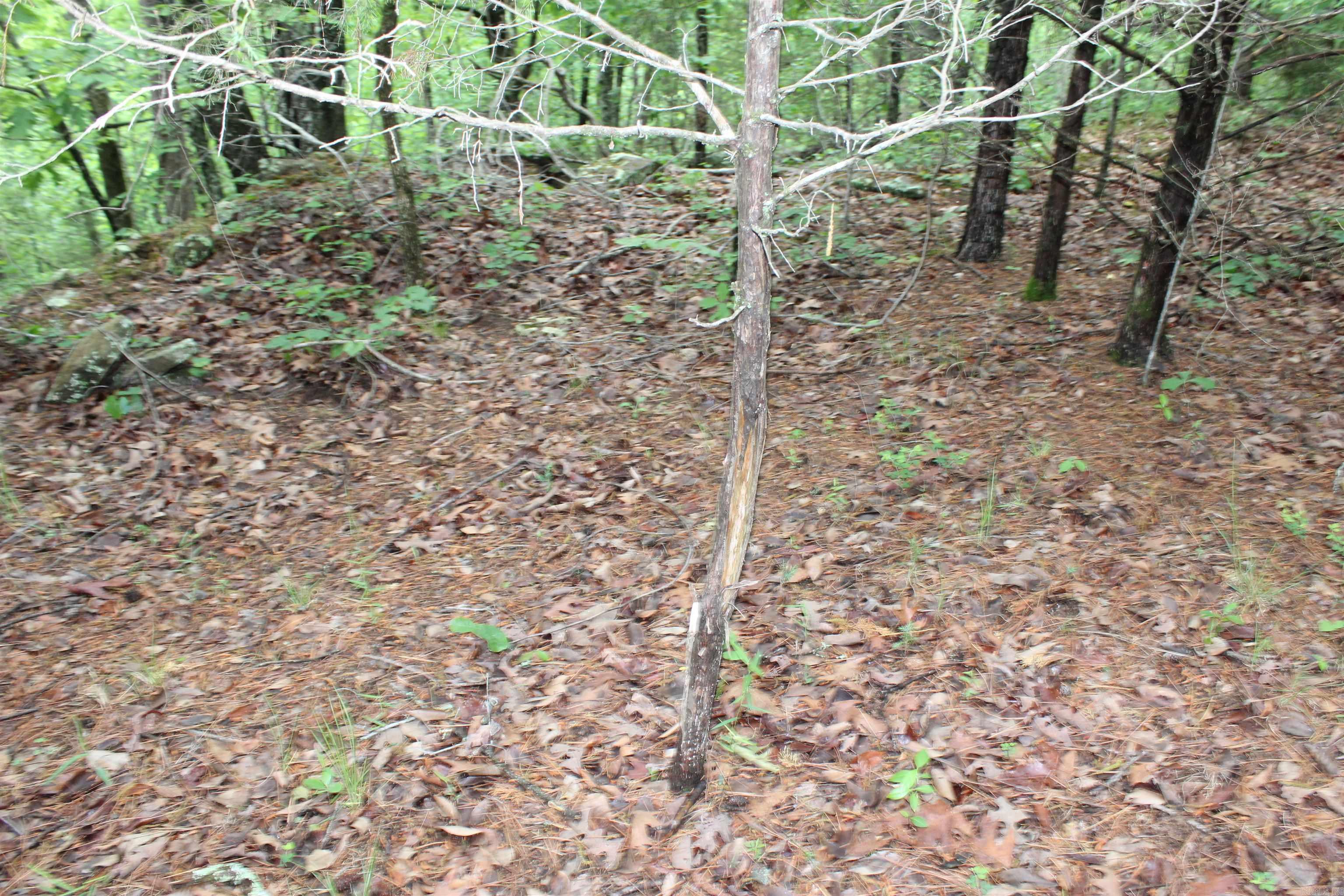 000 East Mountain Road Property Photo 38