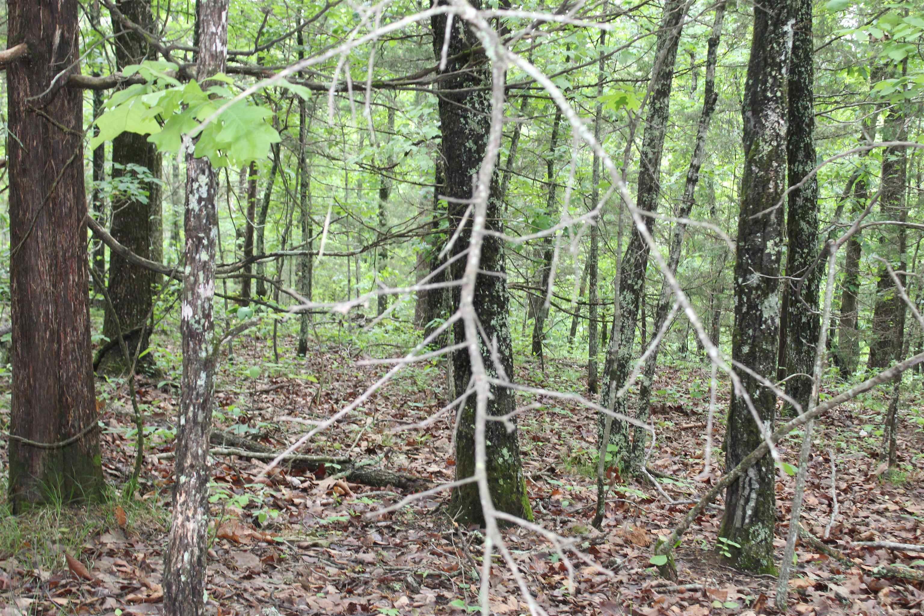 000 East Mountain Road Property Photo 39