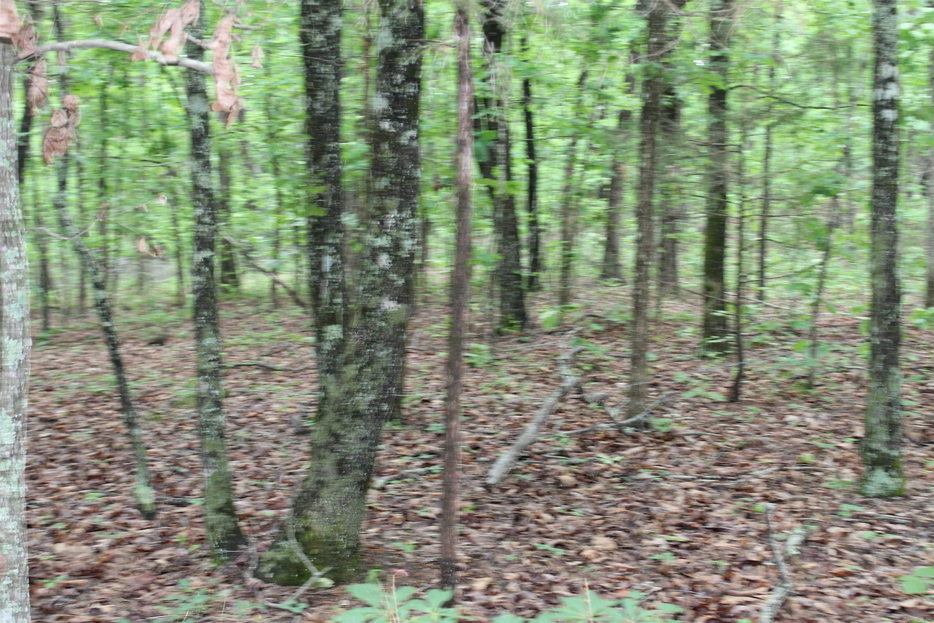 000 East Mountain Road Property Photo 40