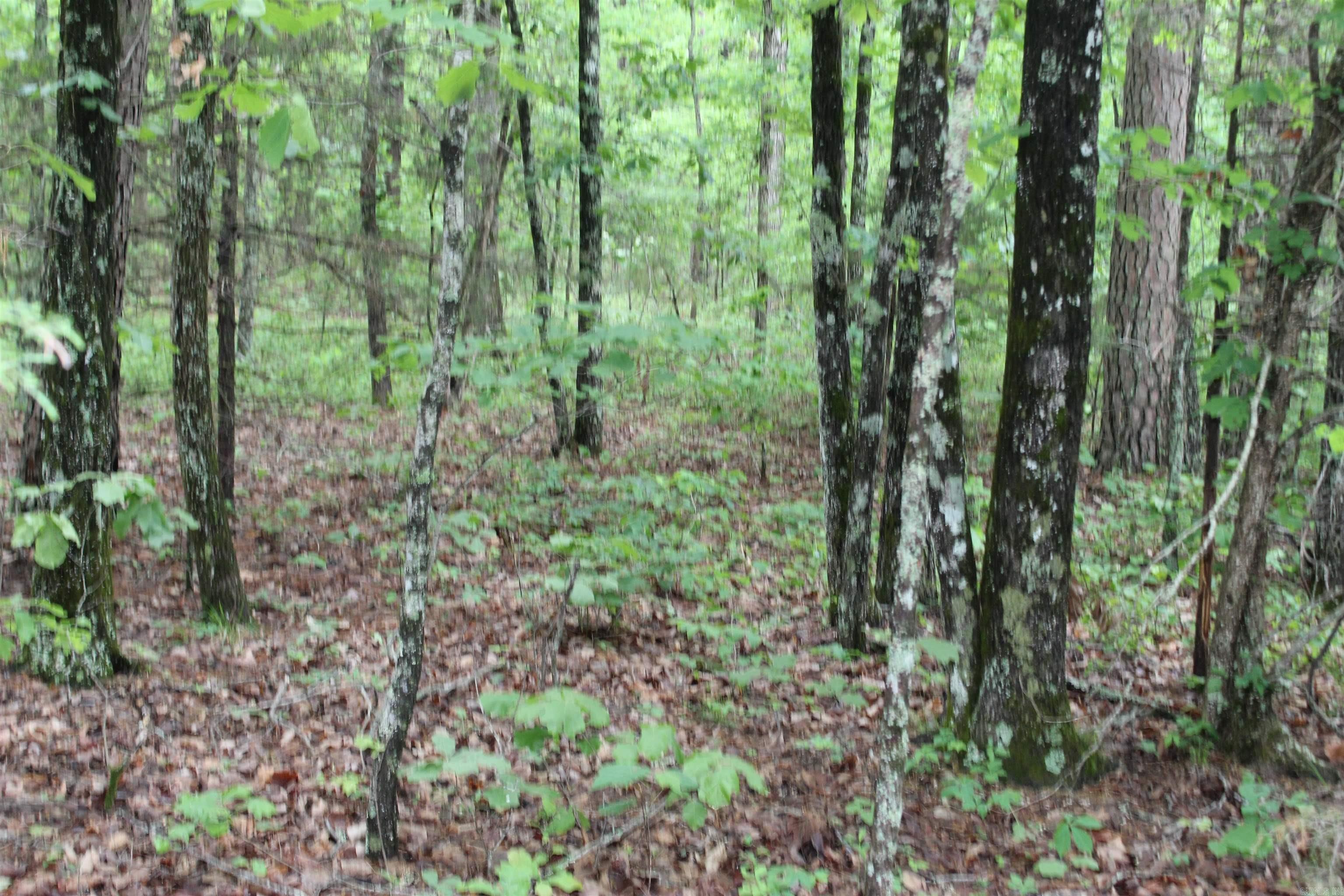 000 East Mountain Road Property Photo 41