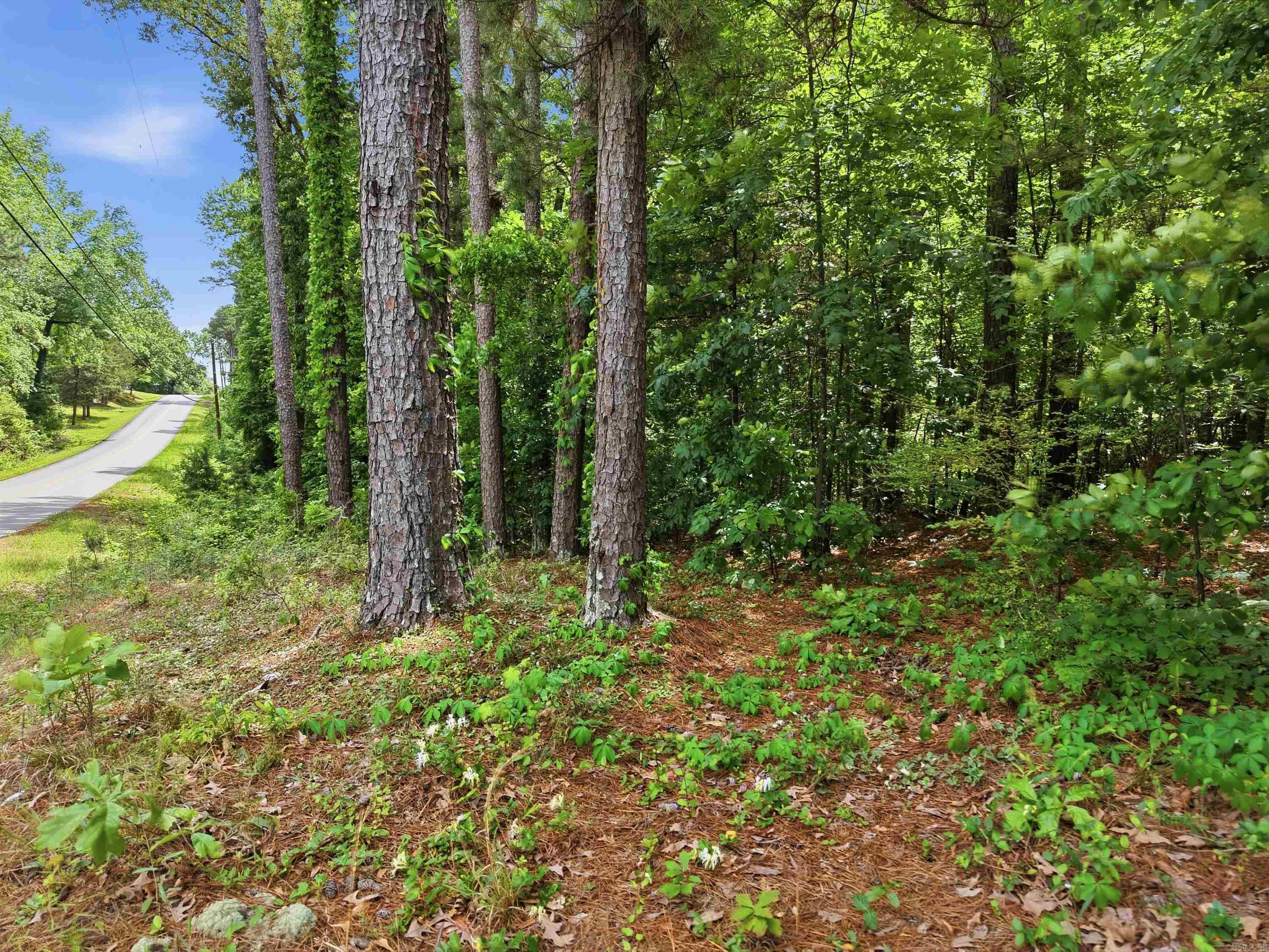 00 N Landmark Circle Property Photo 11