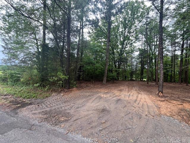 00000 Spires Rd. Property Photo 1