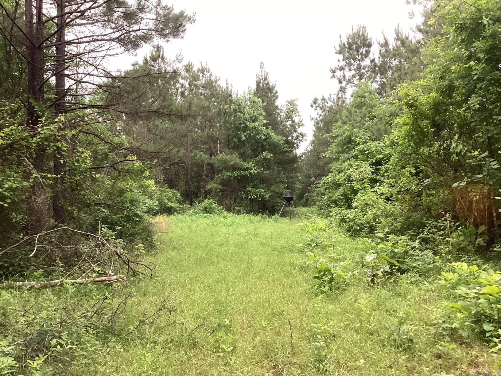 1935 Hwy 24 Property Photo 3