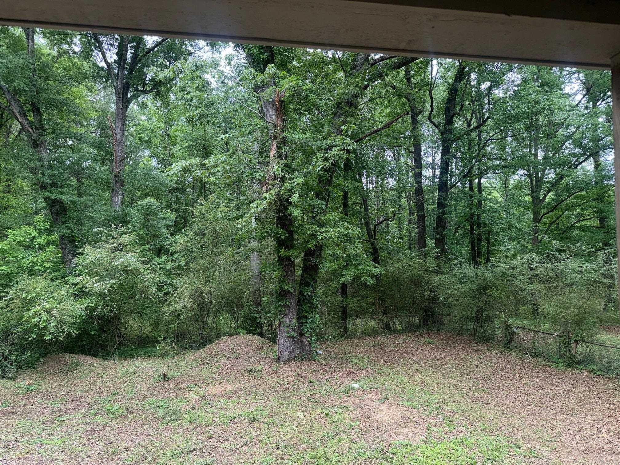 22035 Phillip Drive Property Photo 34
