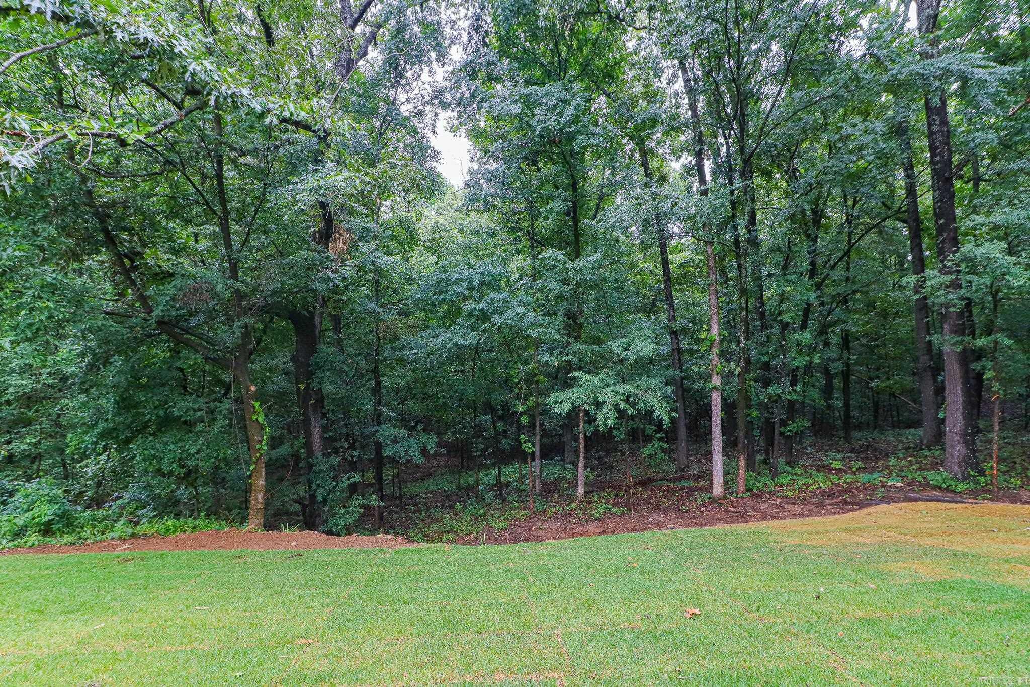 2121 Highway 349 Property Photo 42