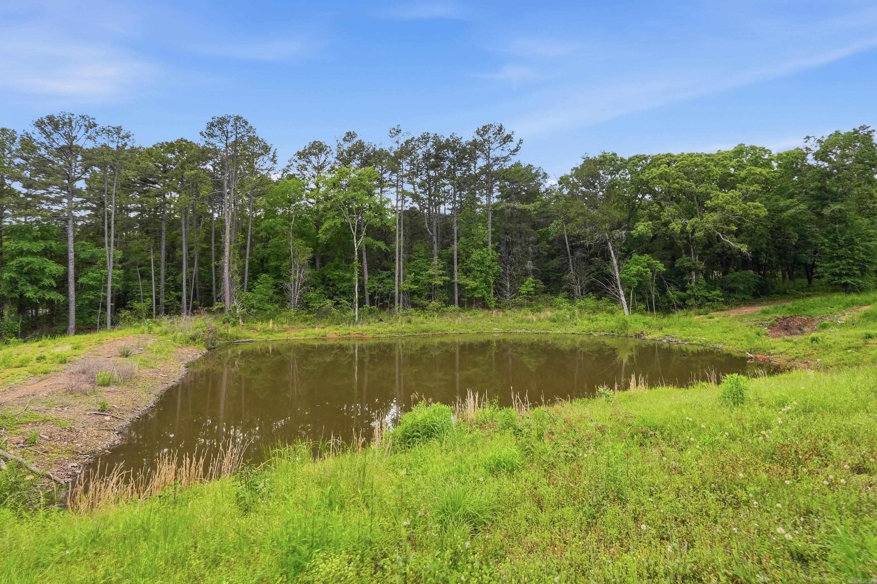 1030 Cadron Settlement Lane Property Photo 43