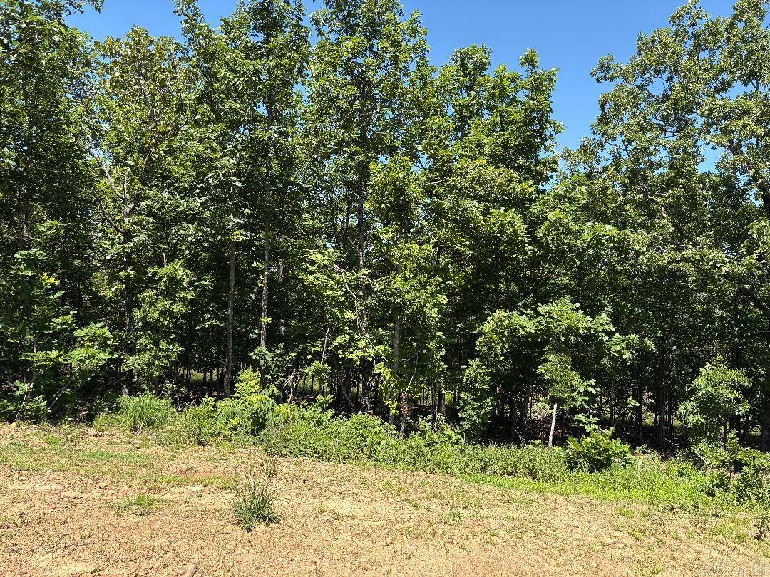 Lot 54 7 Lakes Ranch Estates Property Photo 1