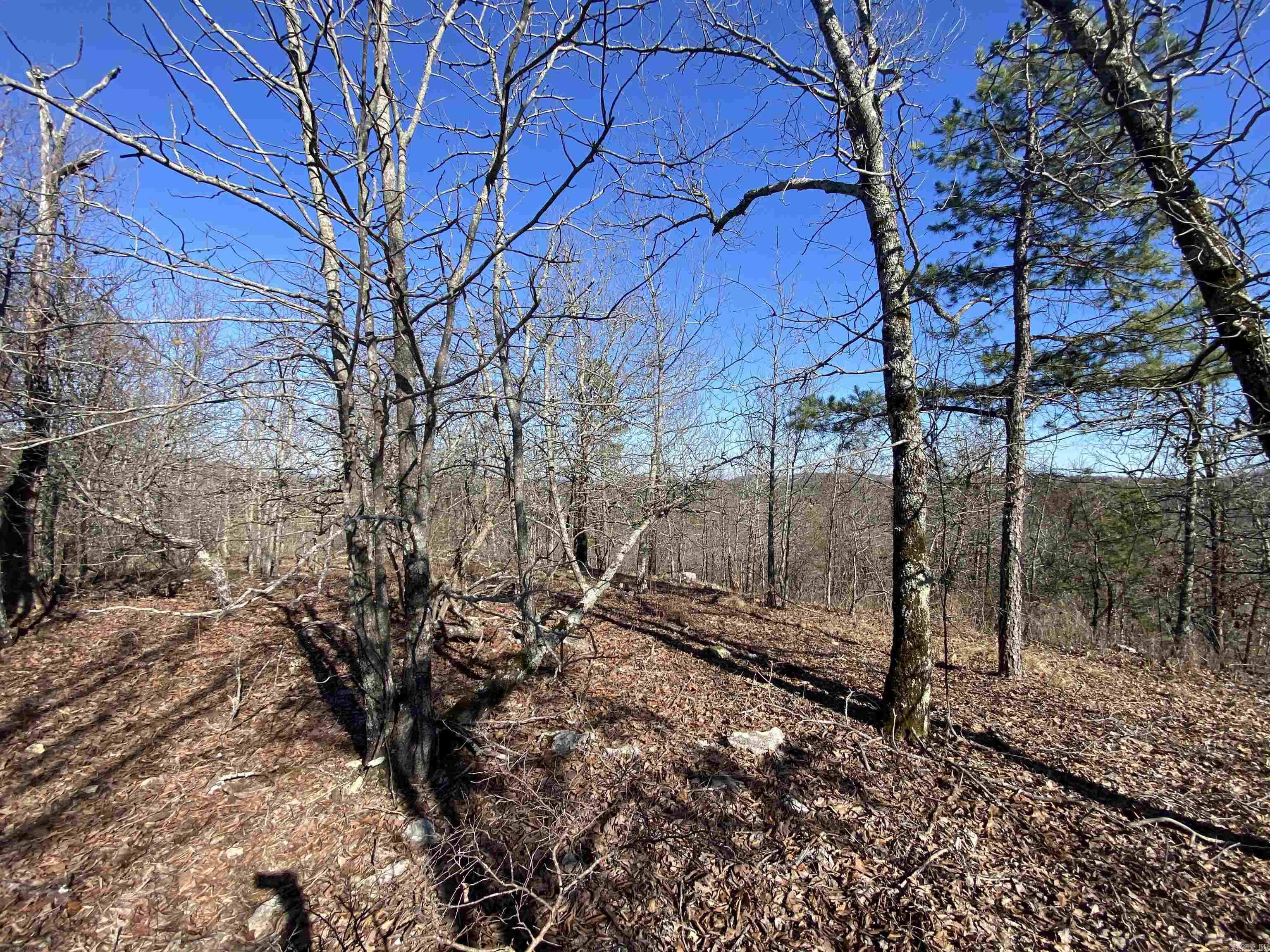 Rpid 115120 Cedar Creek Road Property Photo 15