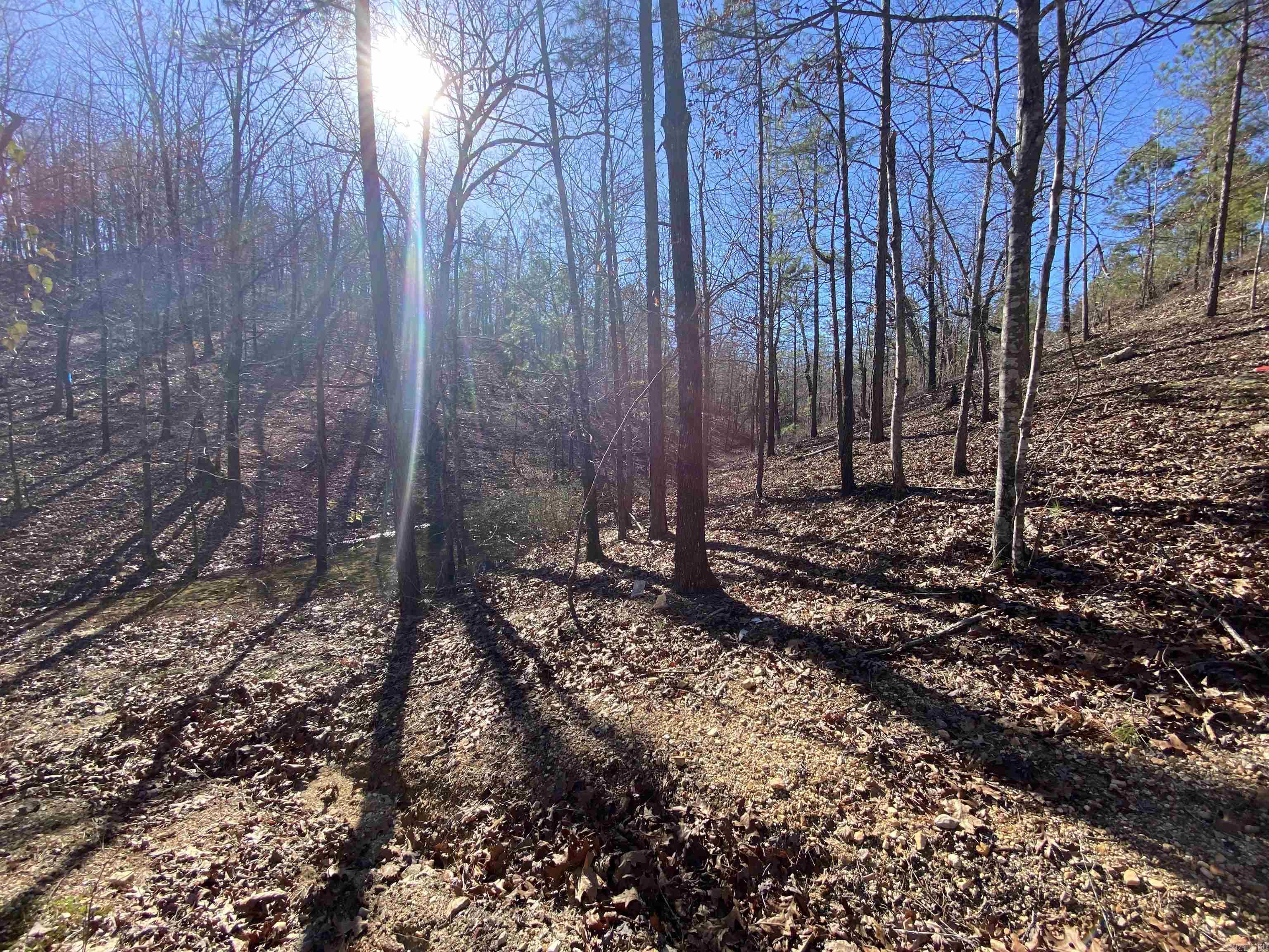 Rpid 115120 Cedar Creek Road Property Photo 34