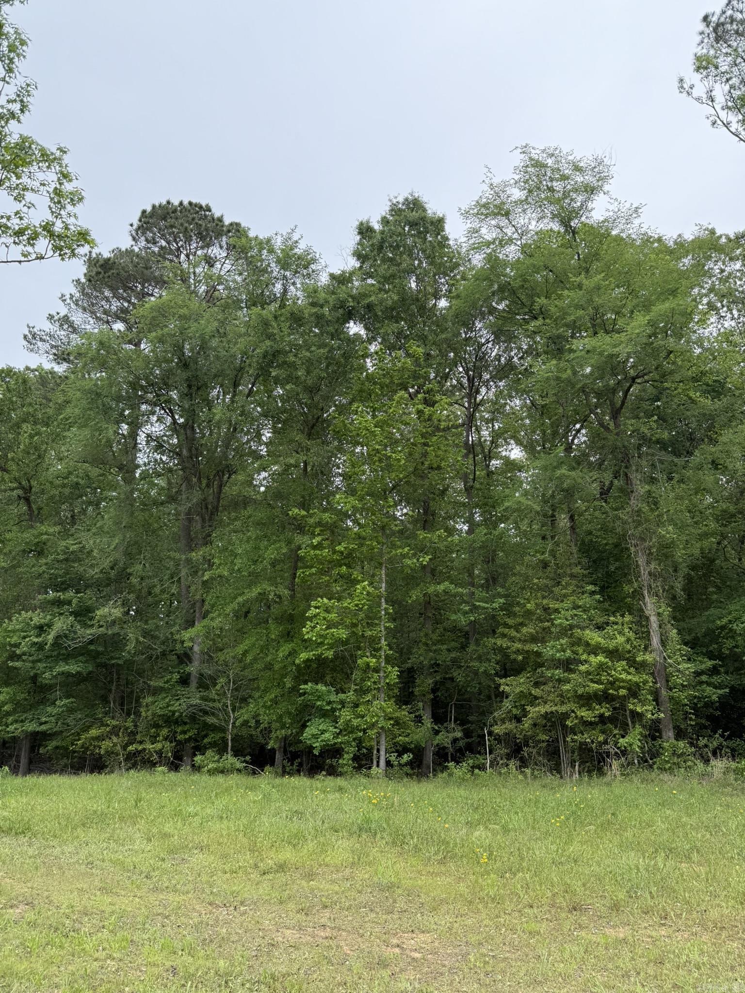 26017783 Property Photo 2