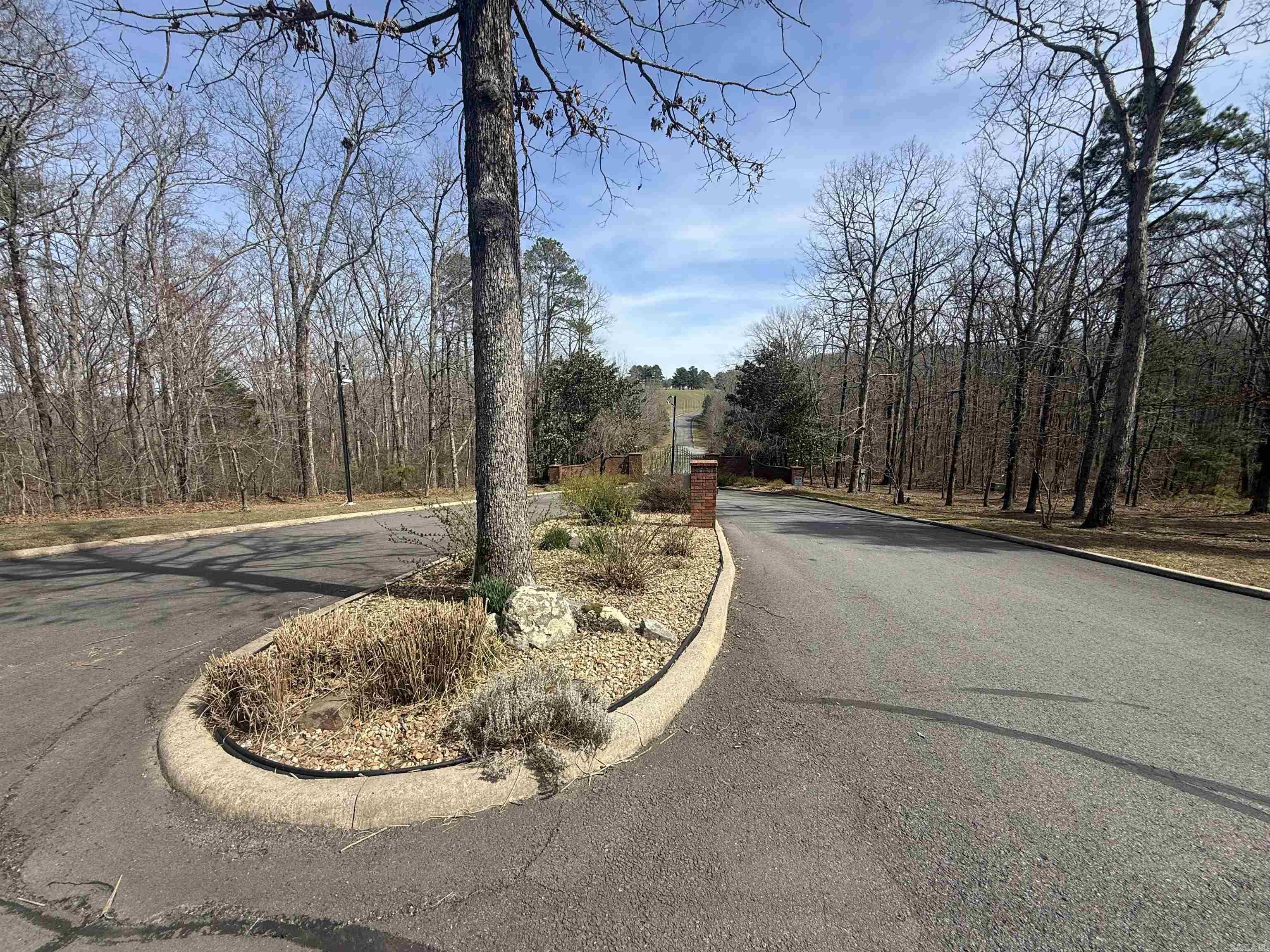 575 (lot 45) Mustang Drive Property Photo 2