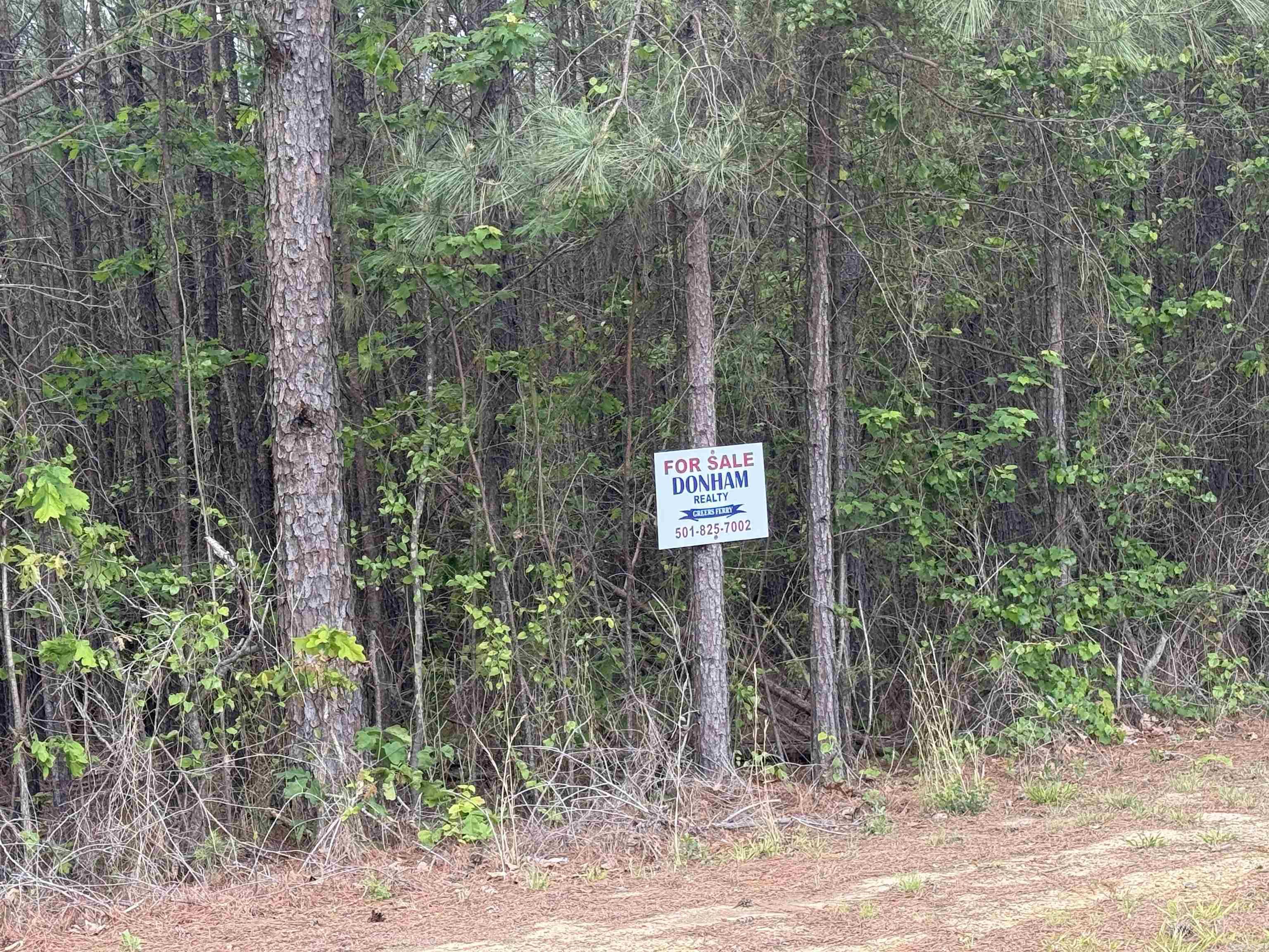 575 (lot 45) Mustang Drive Property Photo 5