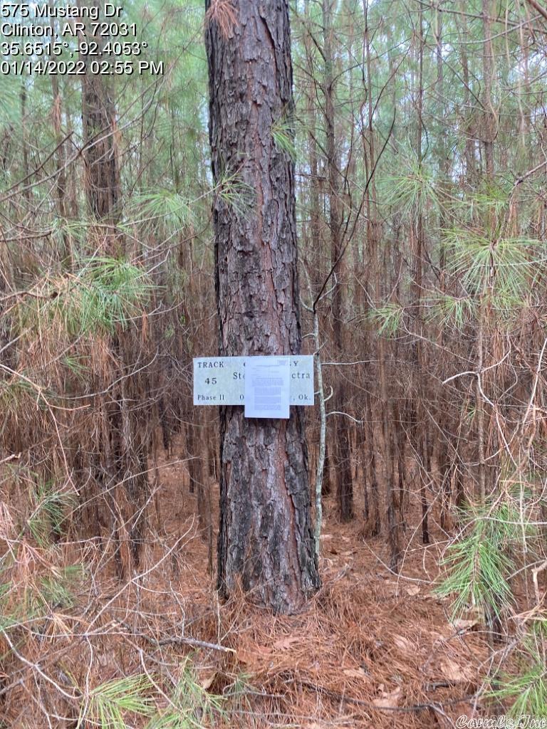 575 (lot 45) Mustang Drive Property Photo 12
