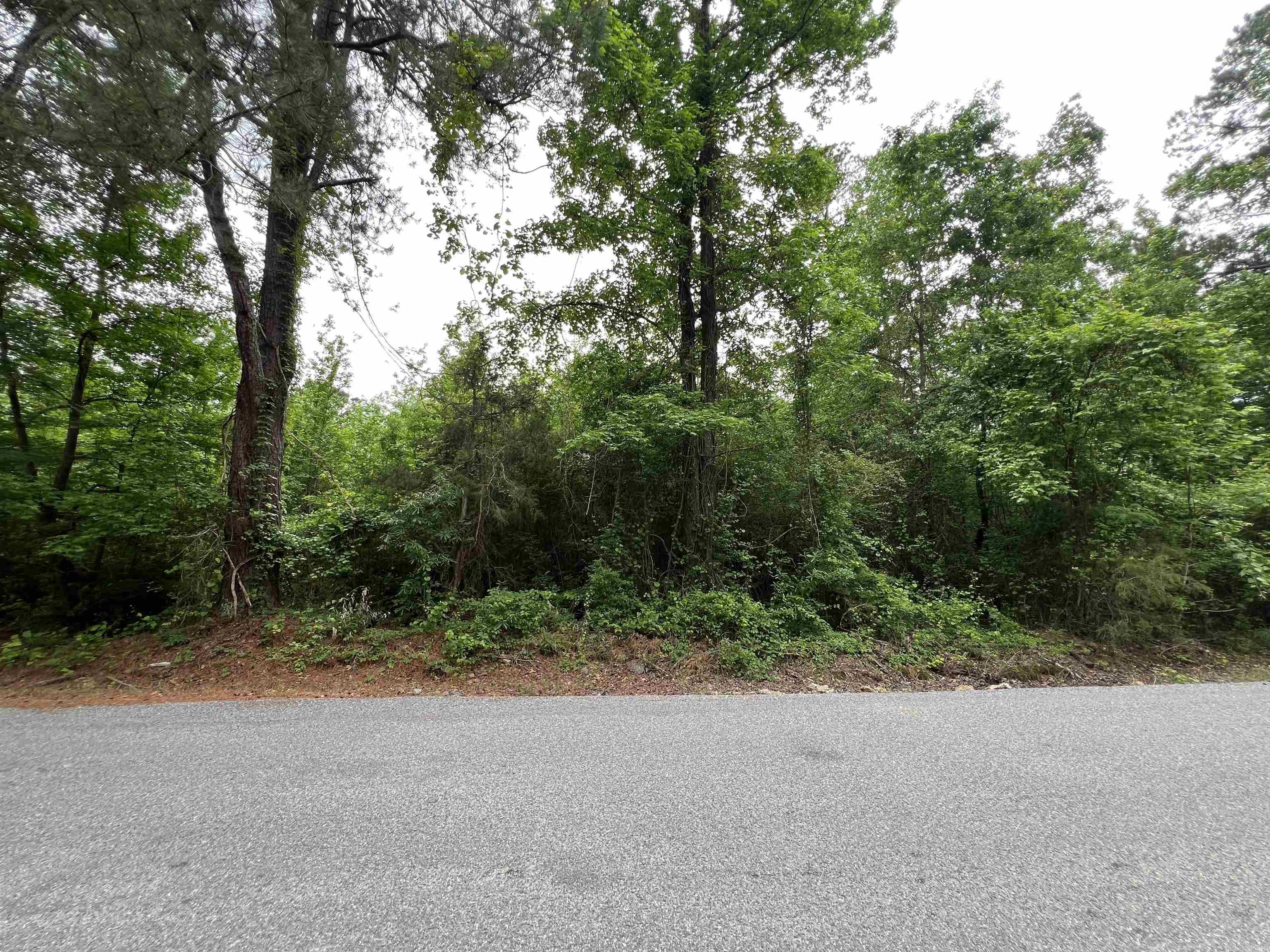 000 New Hope Road Property Photo 6