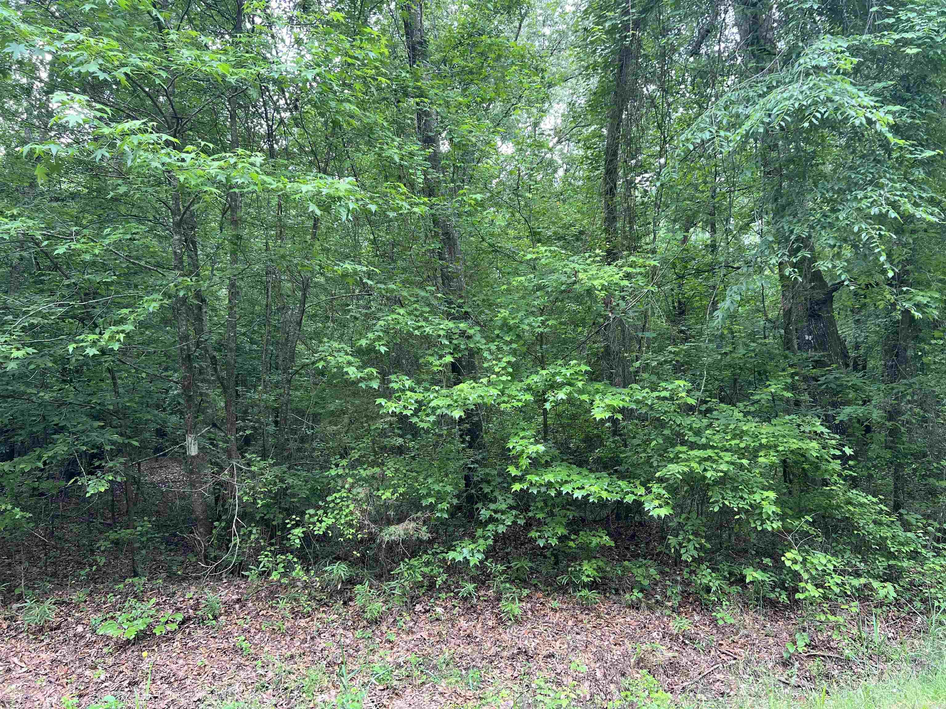 000 New Hope Road Property Photo 8