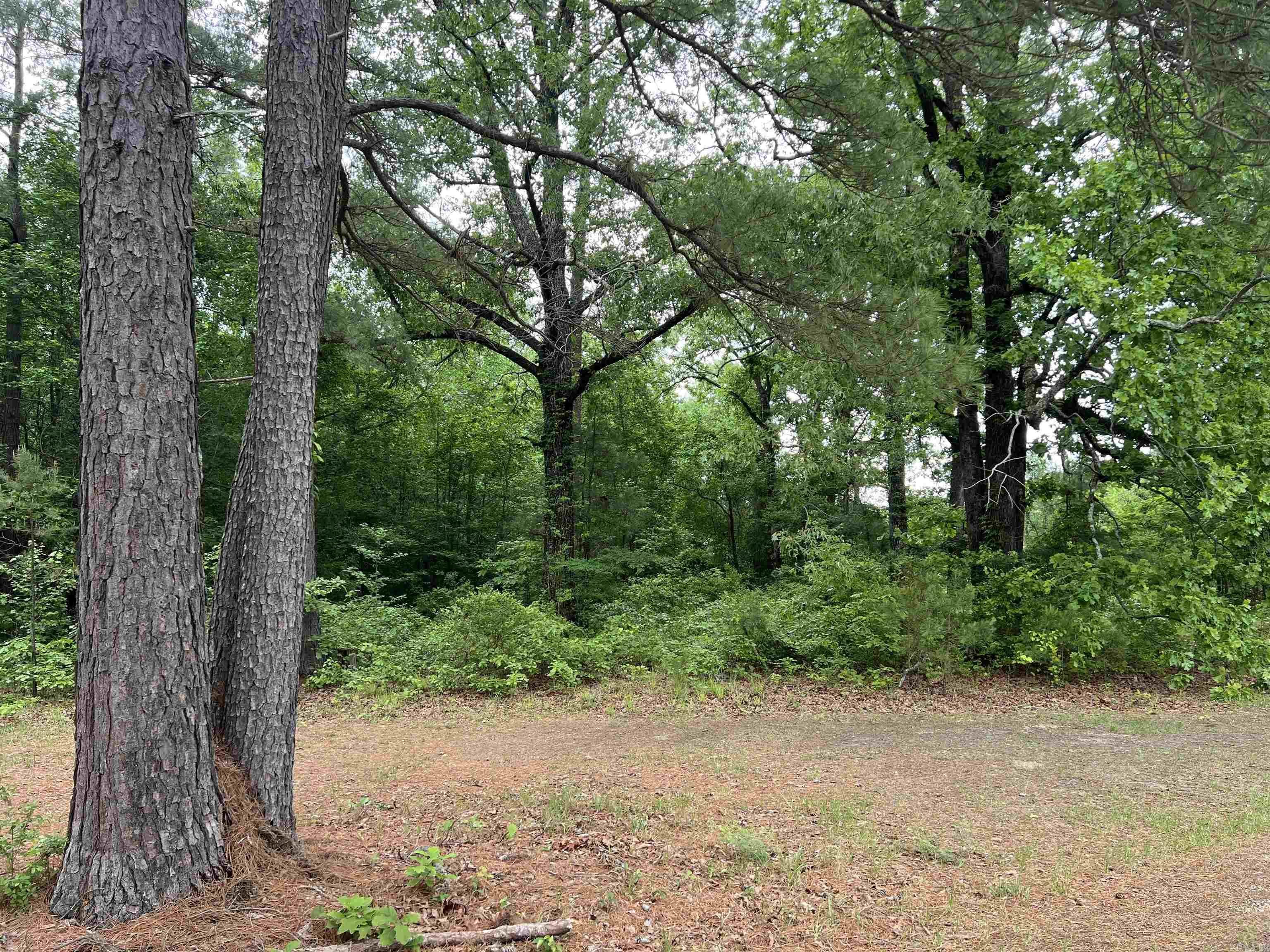 000 New Hope Road Property Photo 9