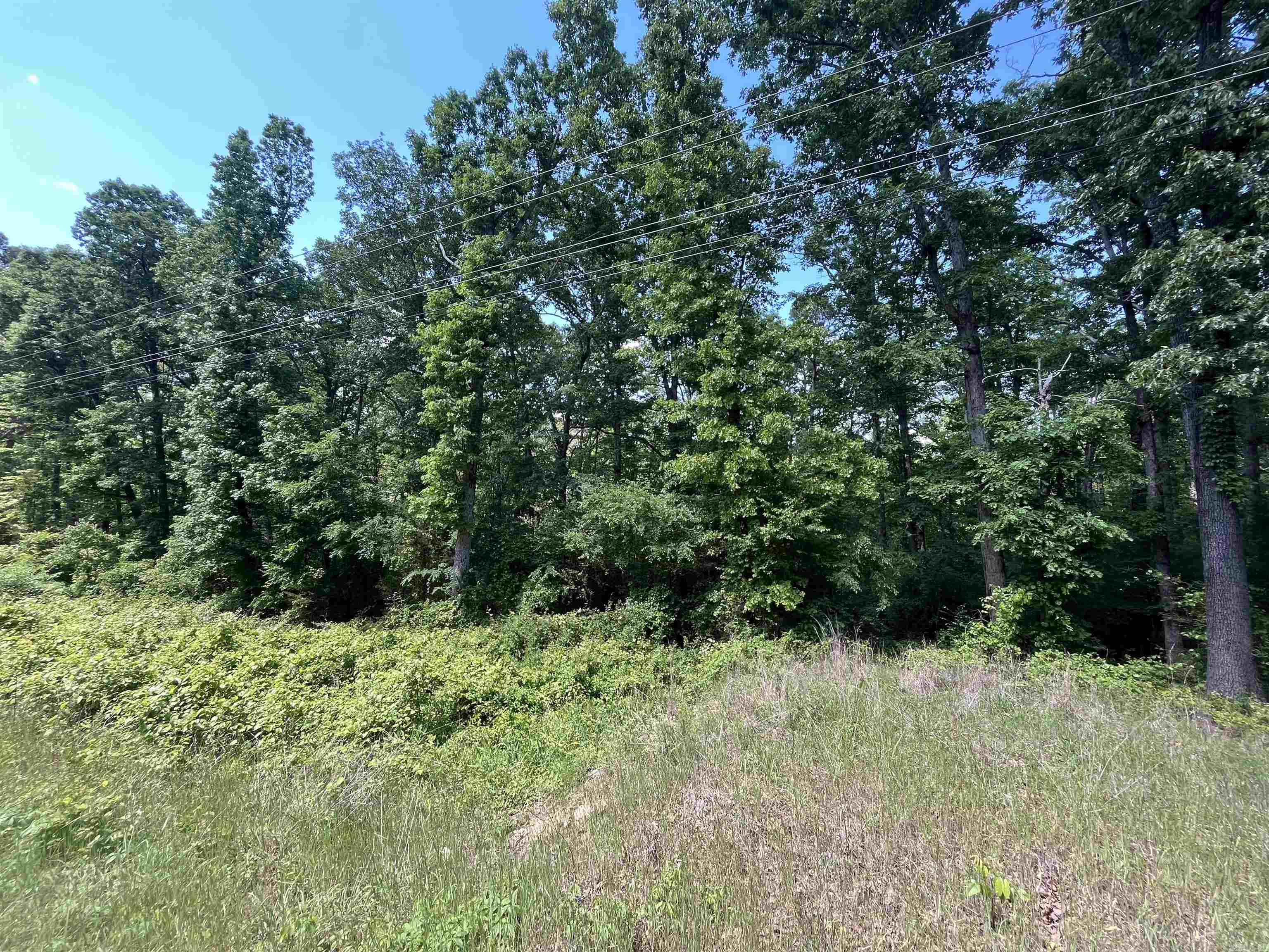 000 Budd Creek Rd. Property Photo 2