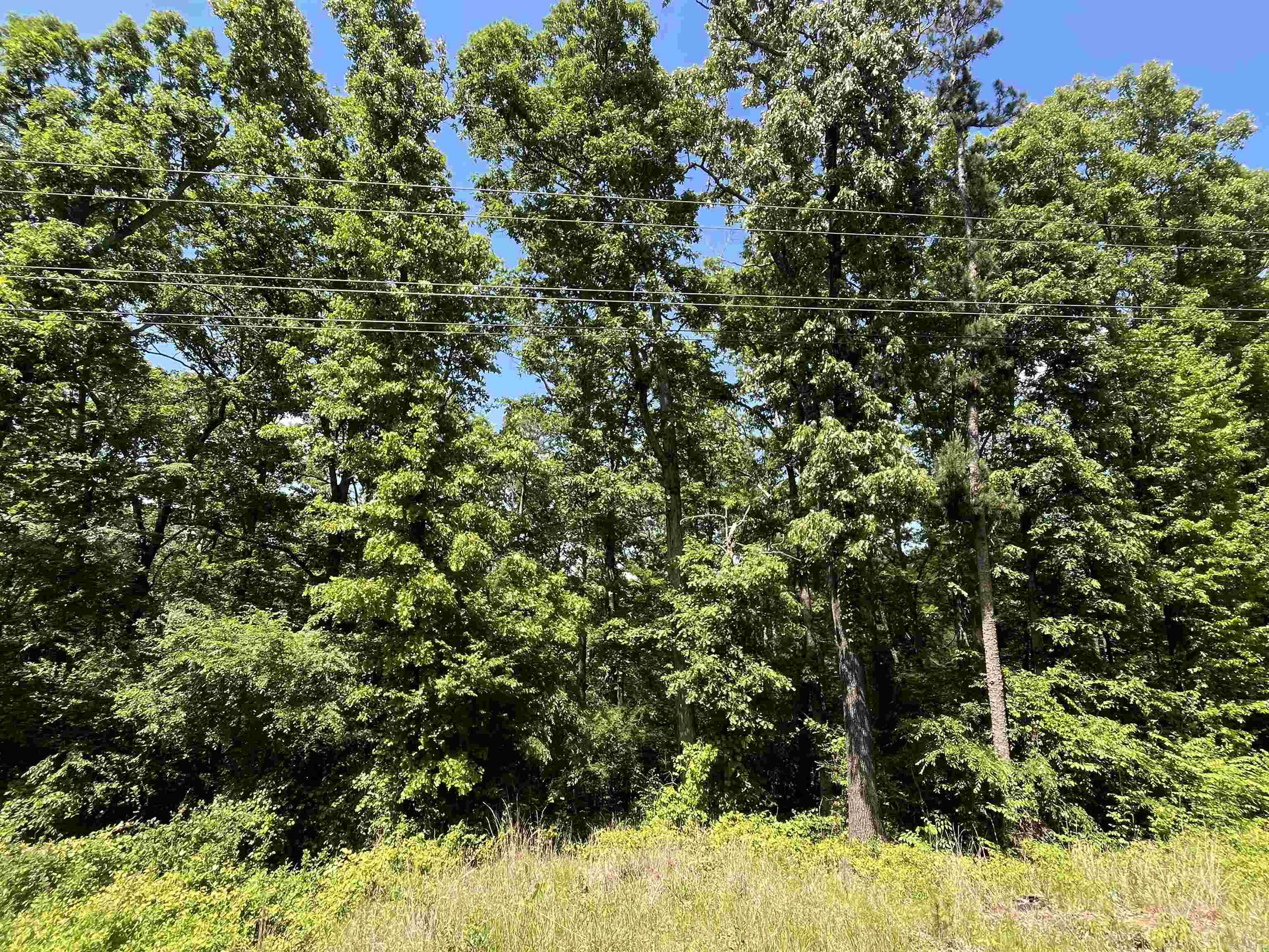 000 Budd Creek Rd. Property Photo 3