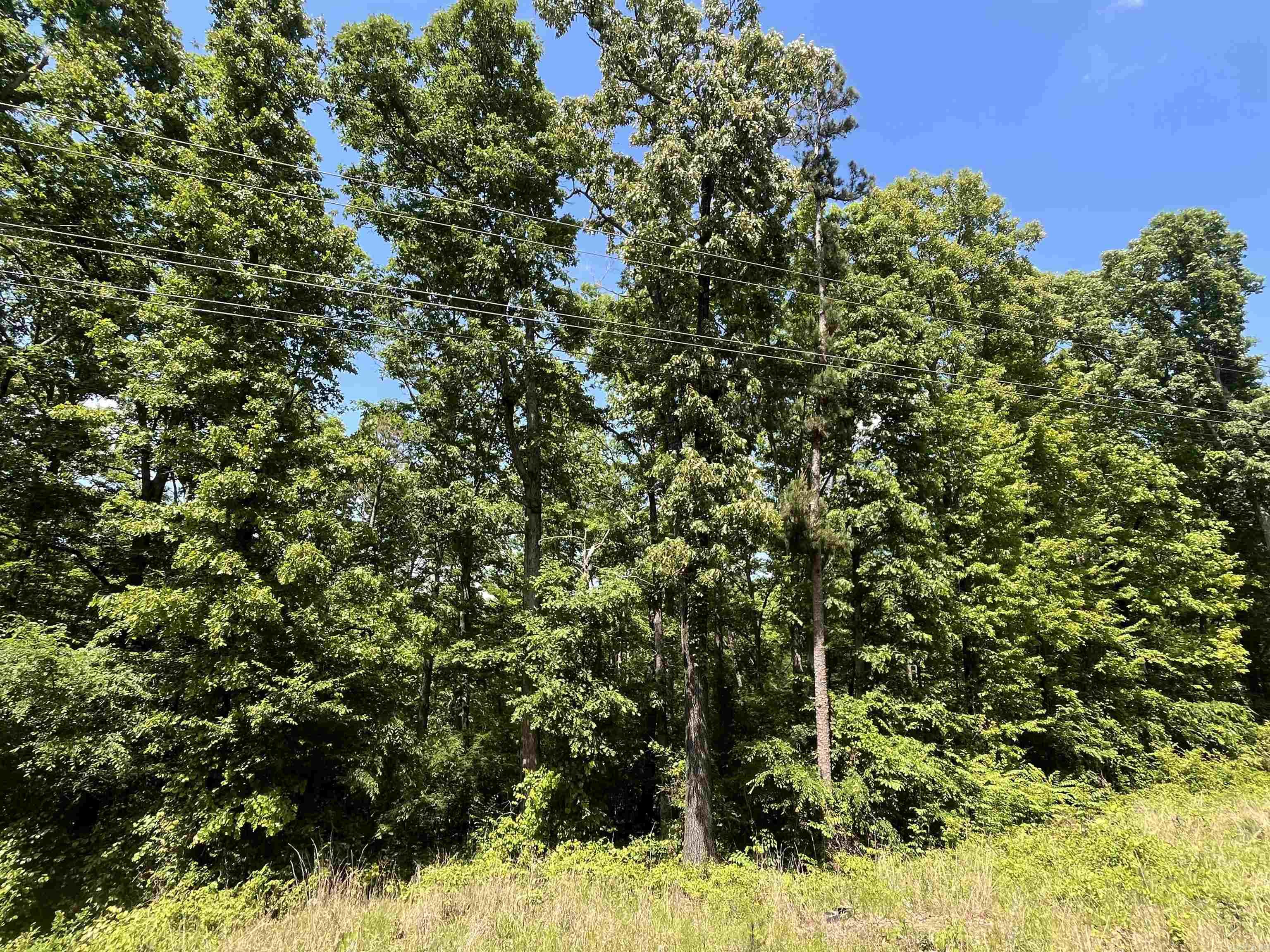 000 Budd Creek Rd. Property Photo 4