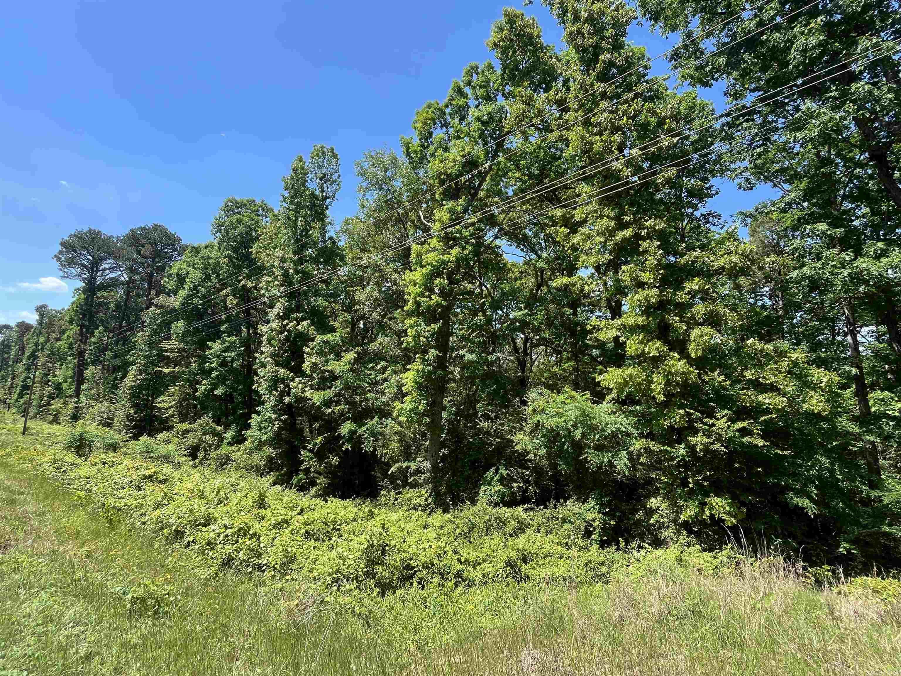 000 Budd Creek Rd. Property Photo 5