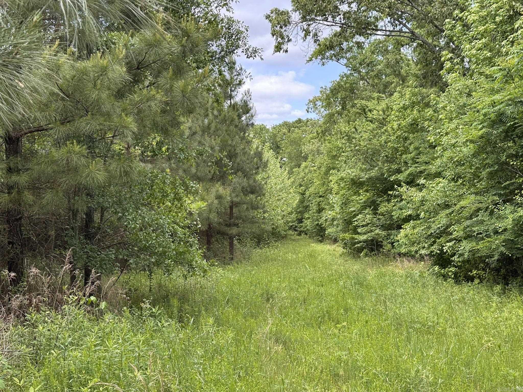 000 Union Road Property Photo 4