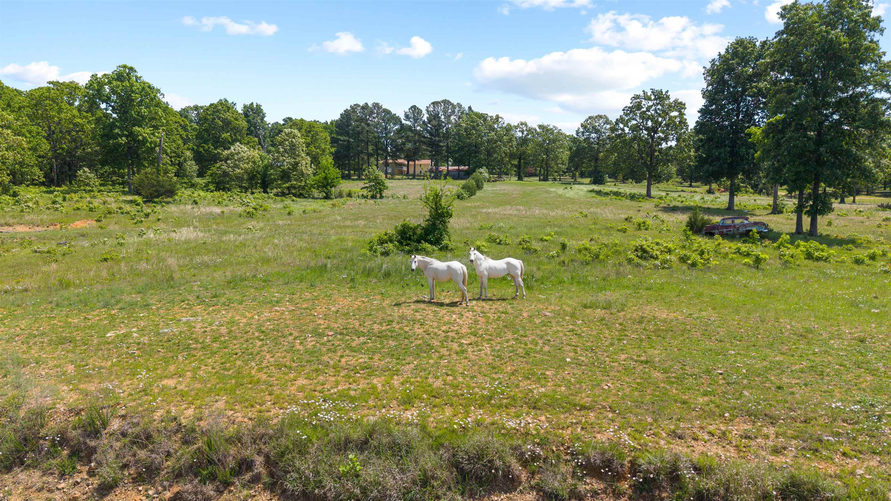 3555 Highway 167 Property Photo 46