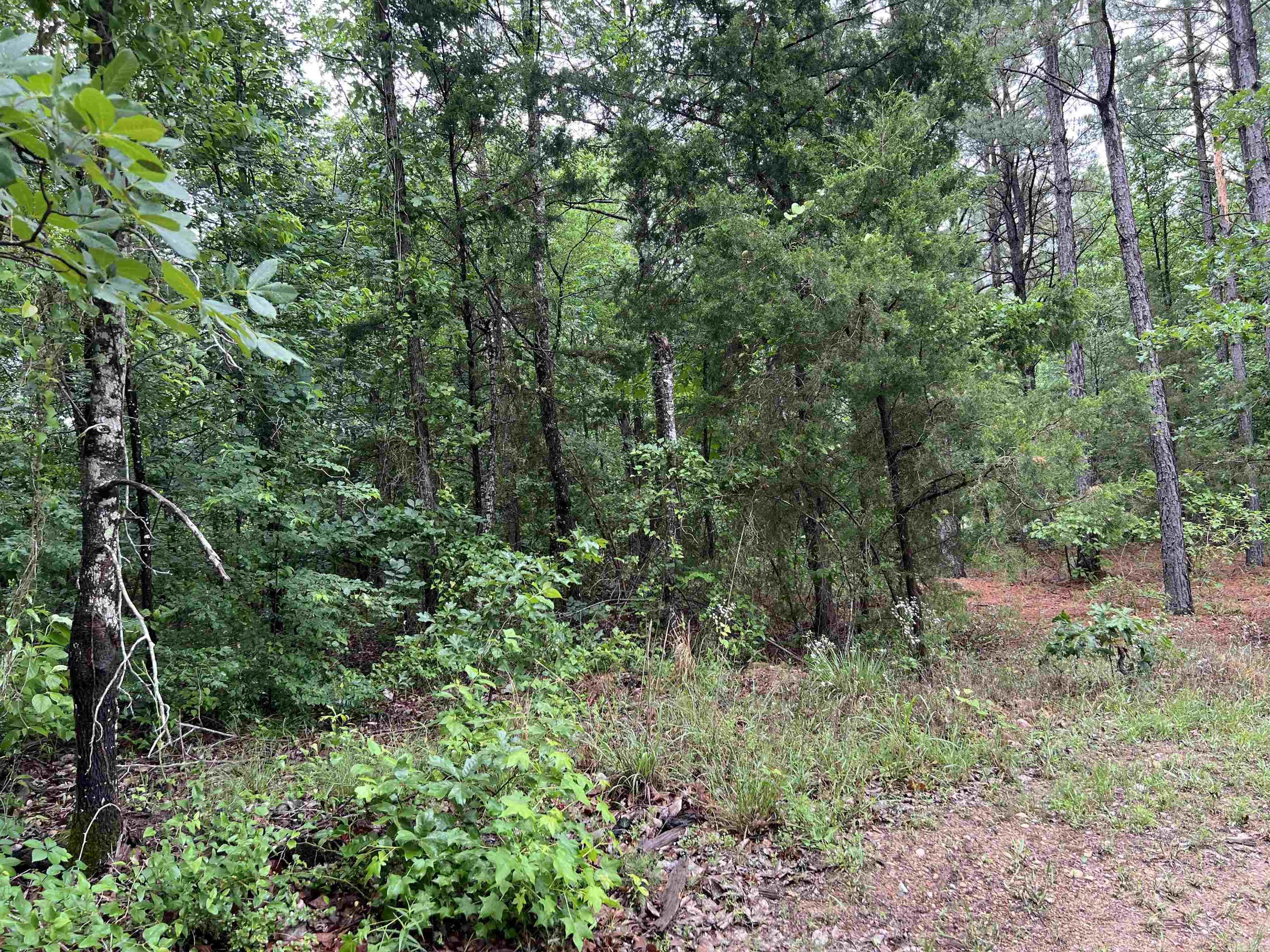 46 Miller County 292 Property Photo 14