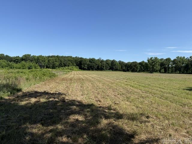 478 Cr 3173/kendall Cemetery Rd Property Photo 6